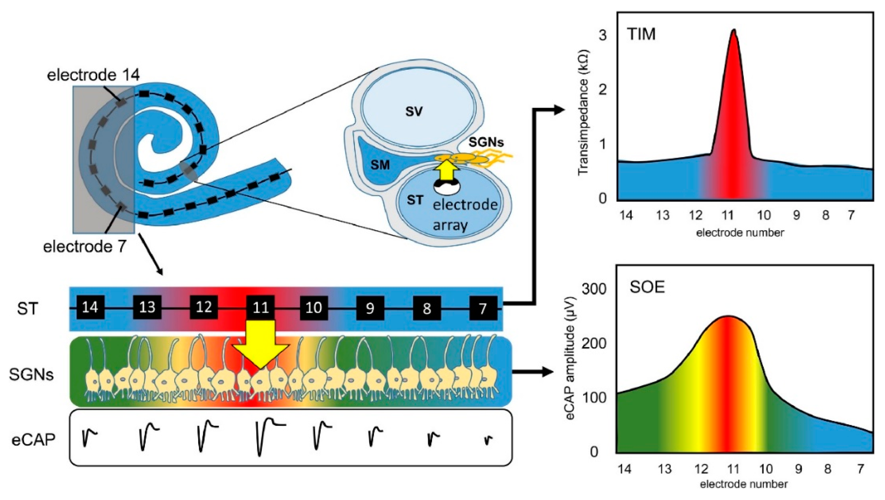 Micromachines 13 01081 g003 Micromachines 13 01081 g003