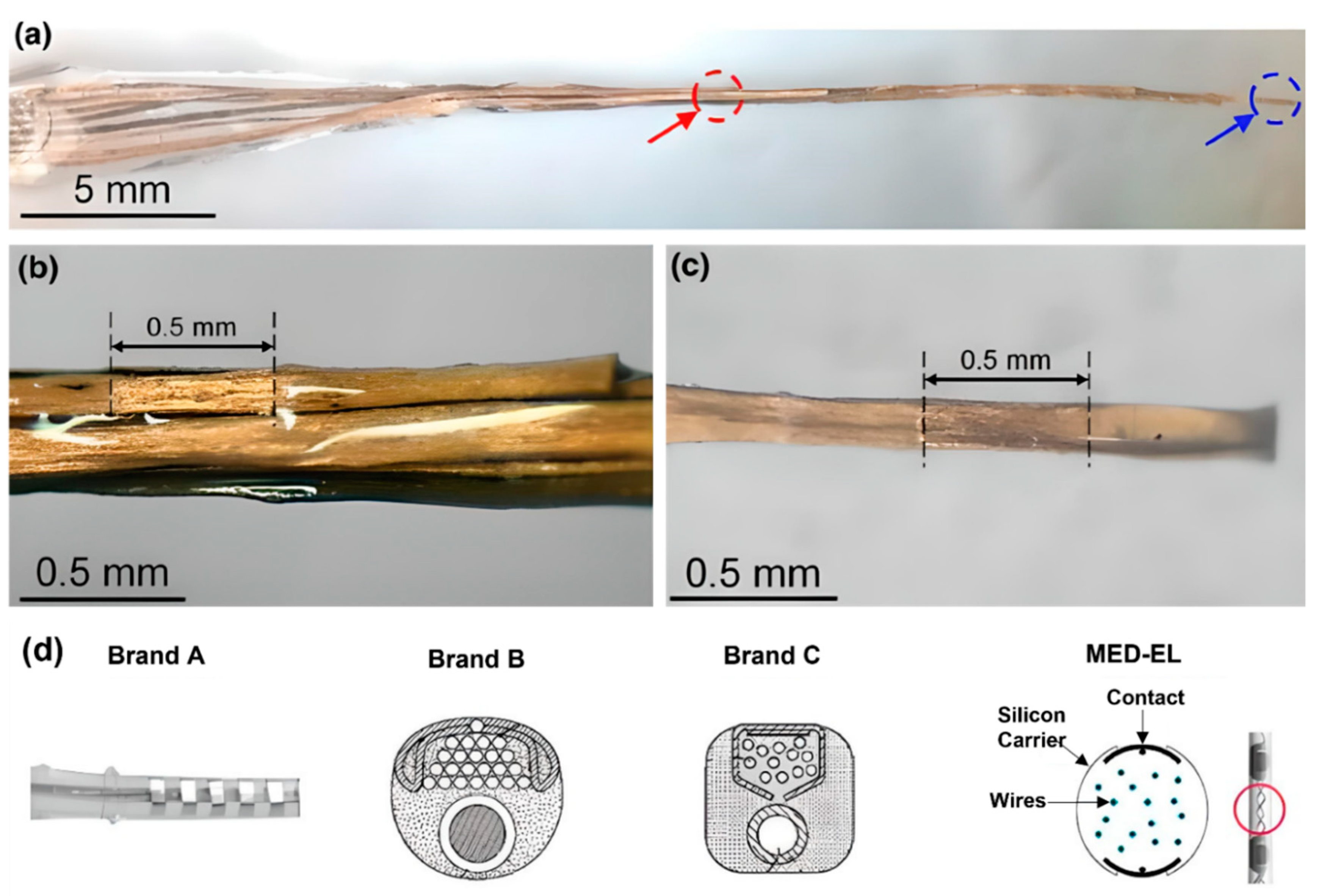 Micromachines 13 01081 g006 Micromachines 13 01081 g006