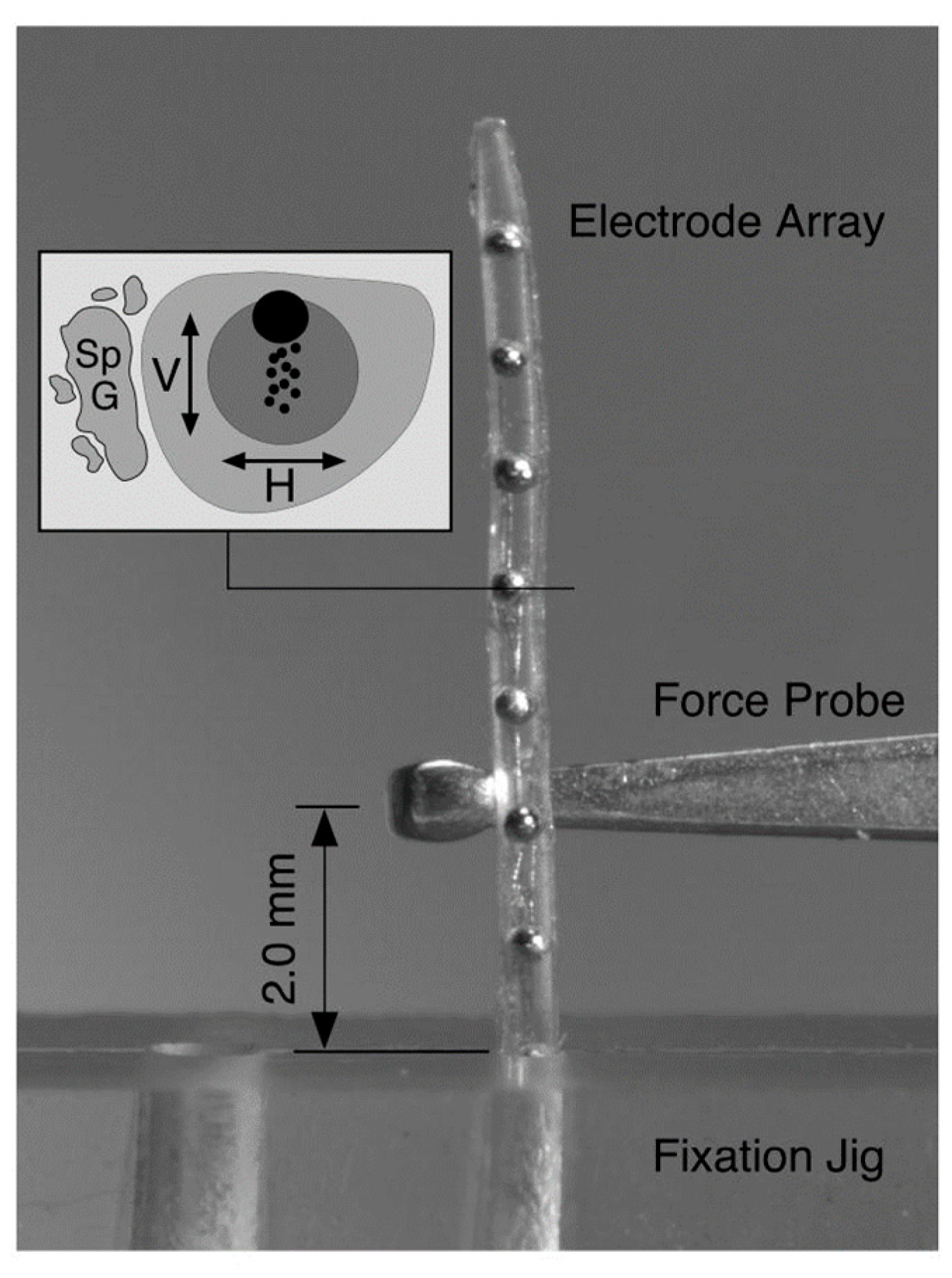 Micromachines 13 01081 g007 Micromachines 13 01081 g007