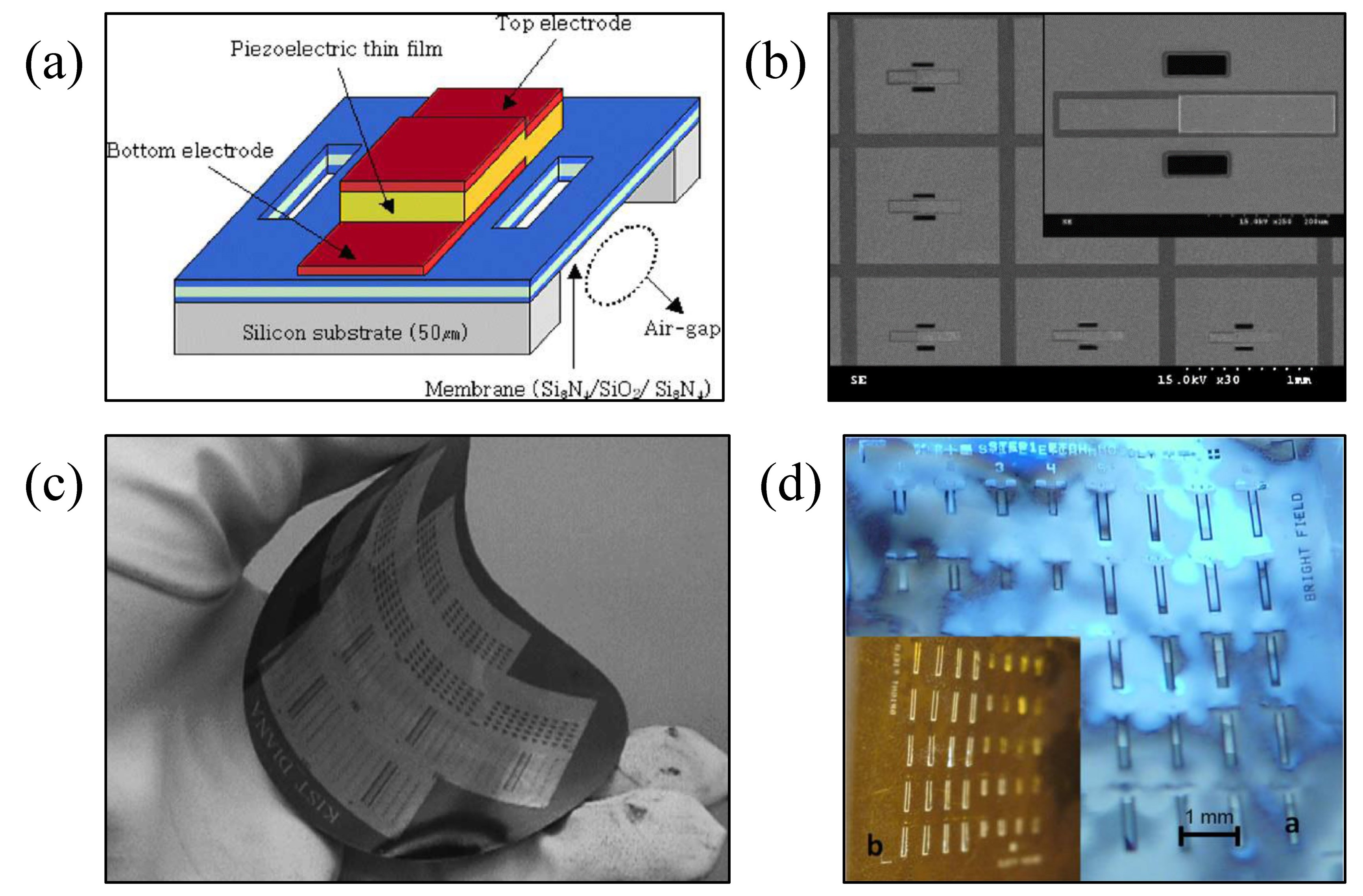 Micromachines 13 01088 g006