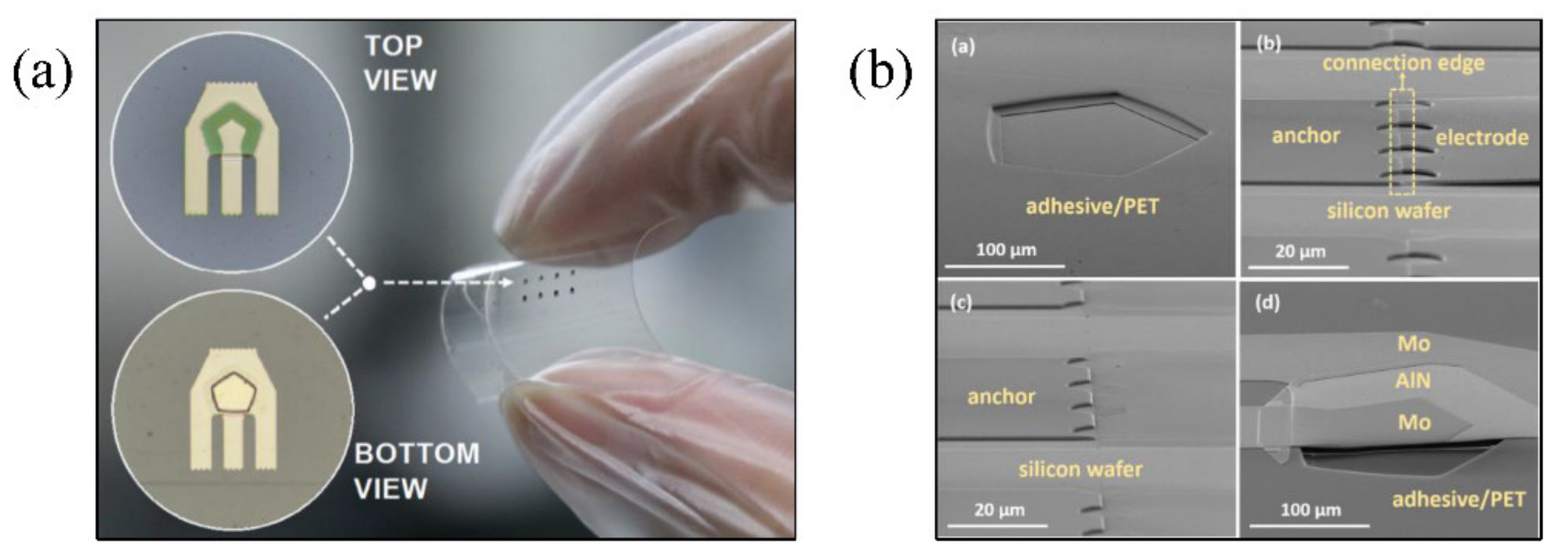 Micromachines 13 01088 g007