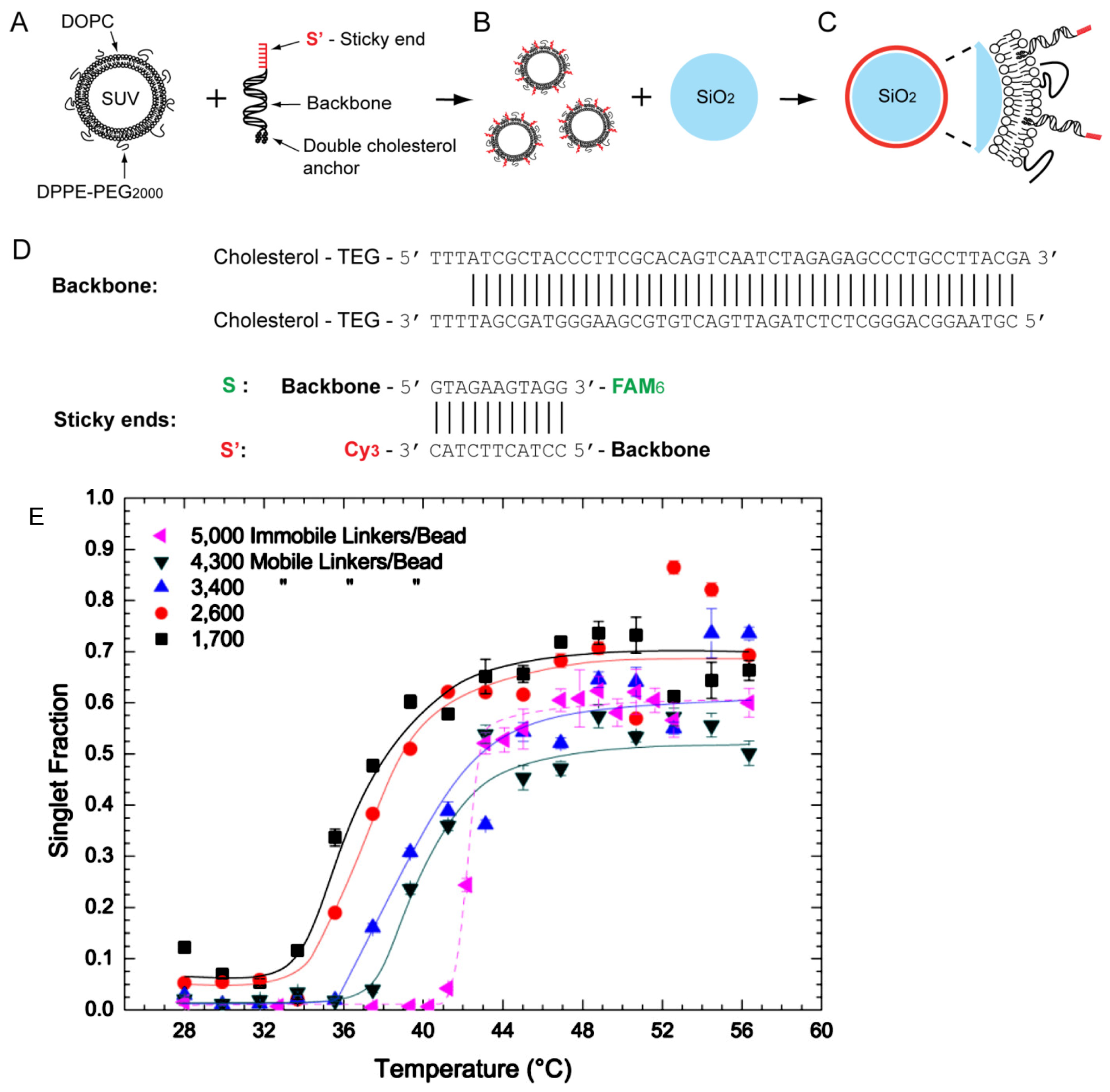 Micromachines 13 01102 g005