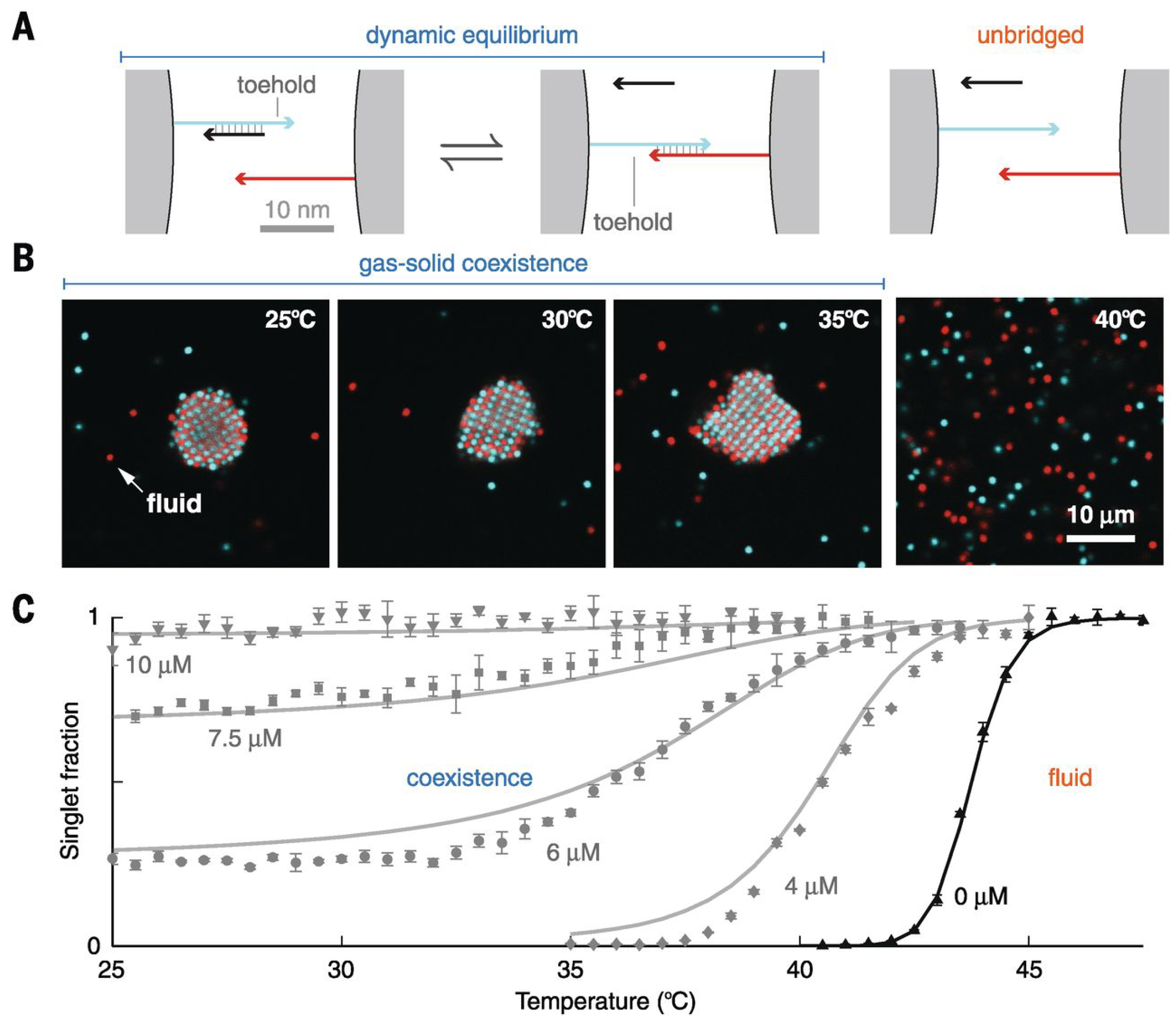 Micromachines 13 01102 g007