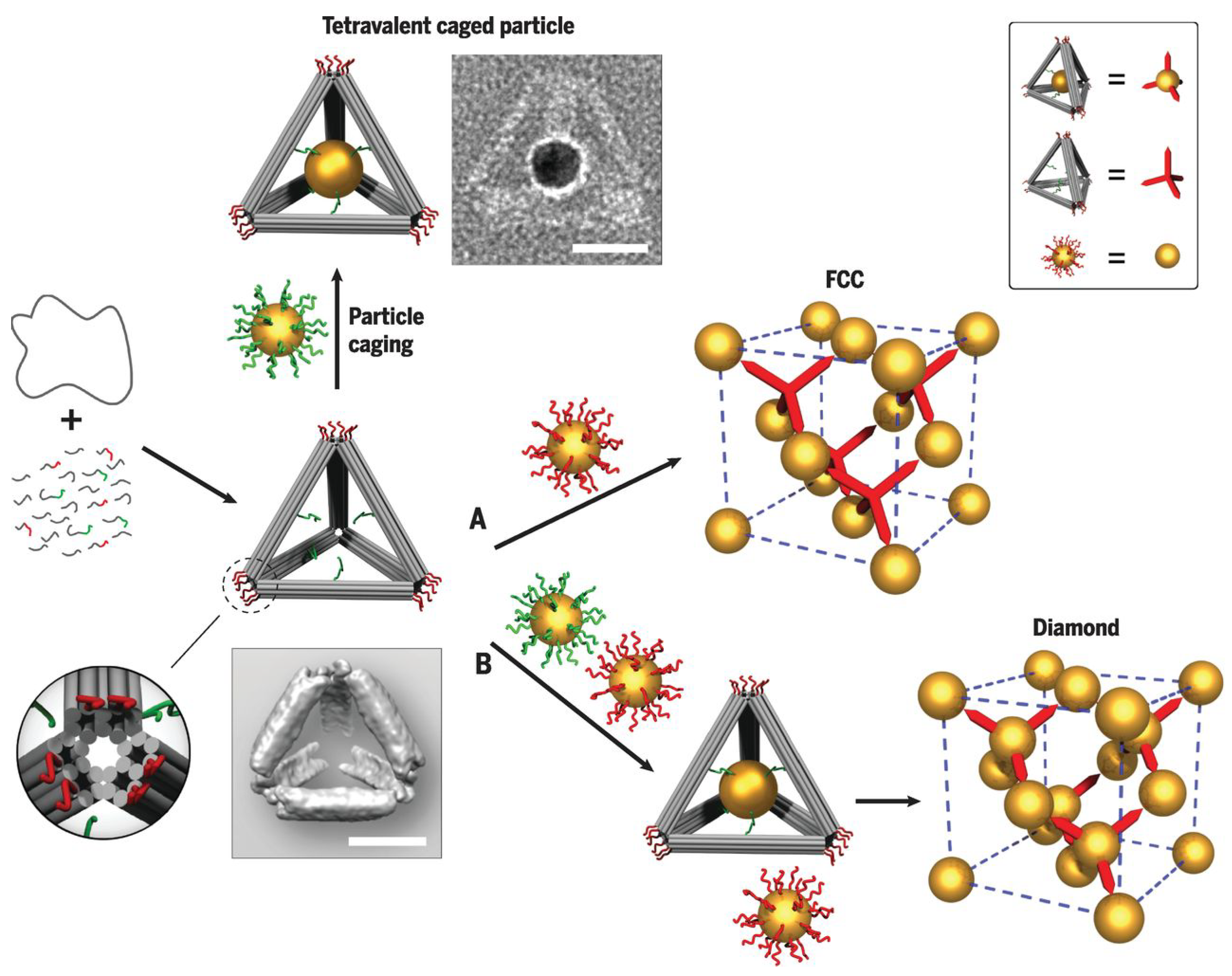 Micromachines 13 01102 g008