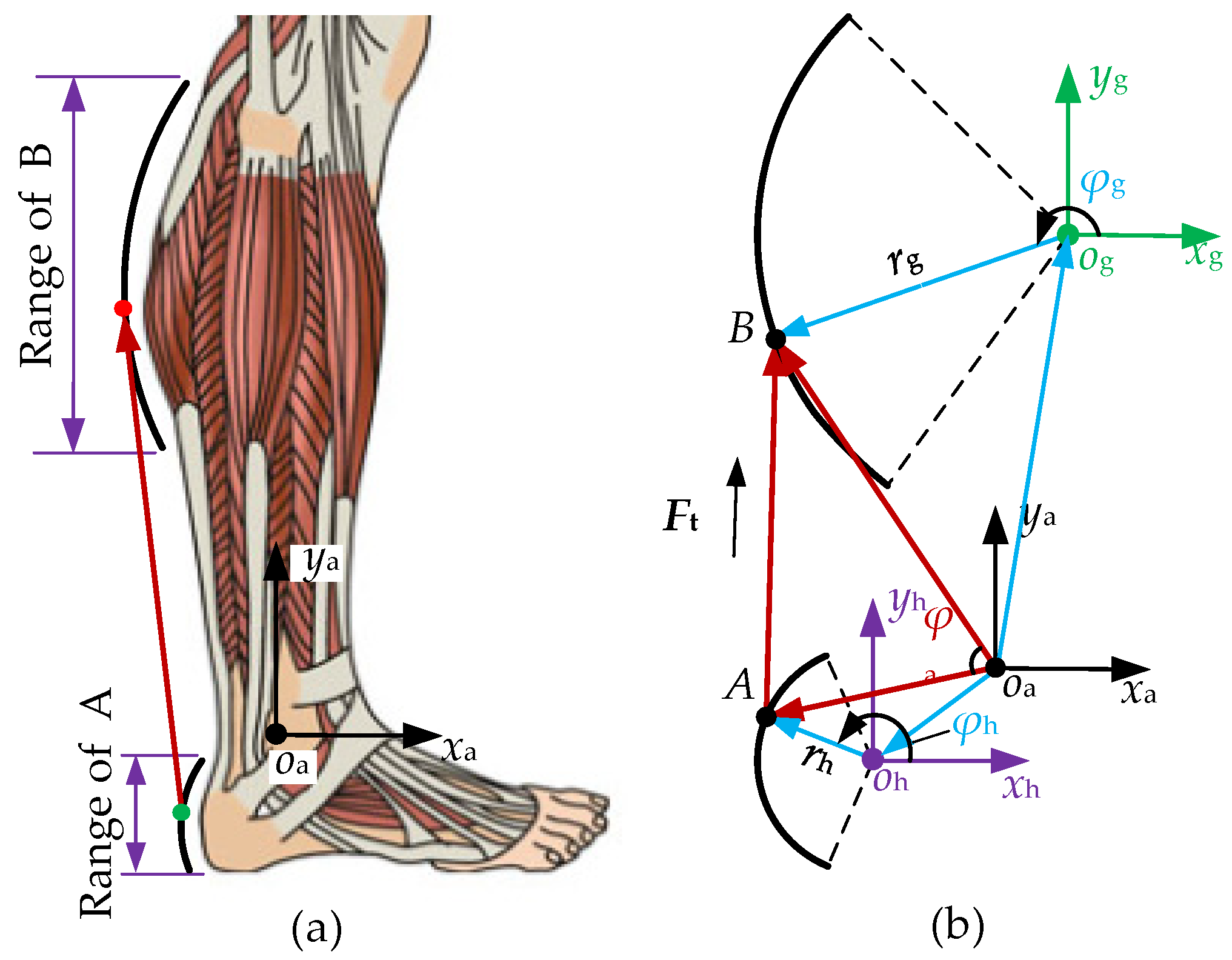 Micromachines 13 01114 g0a1