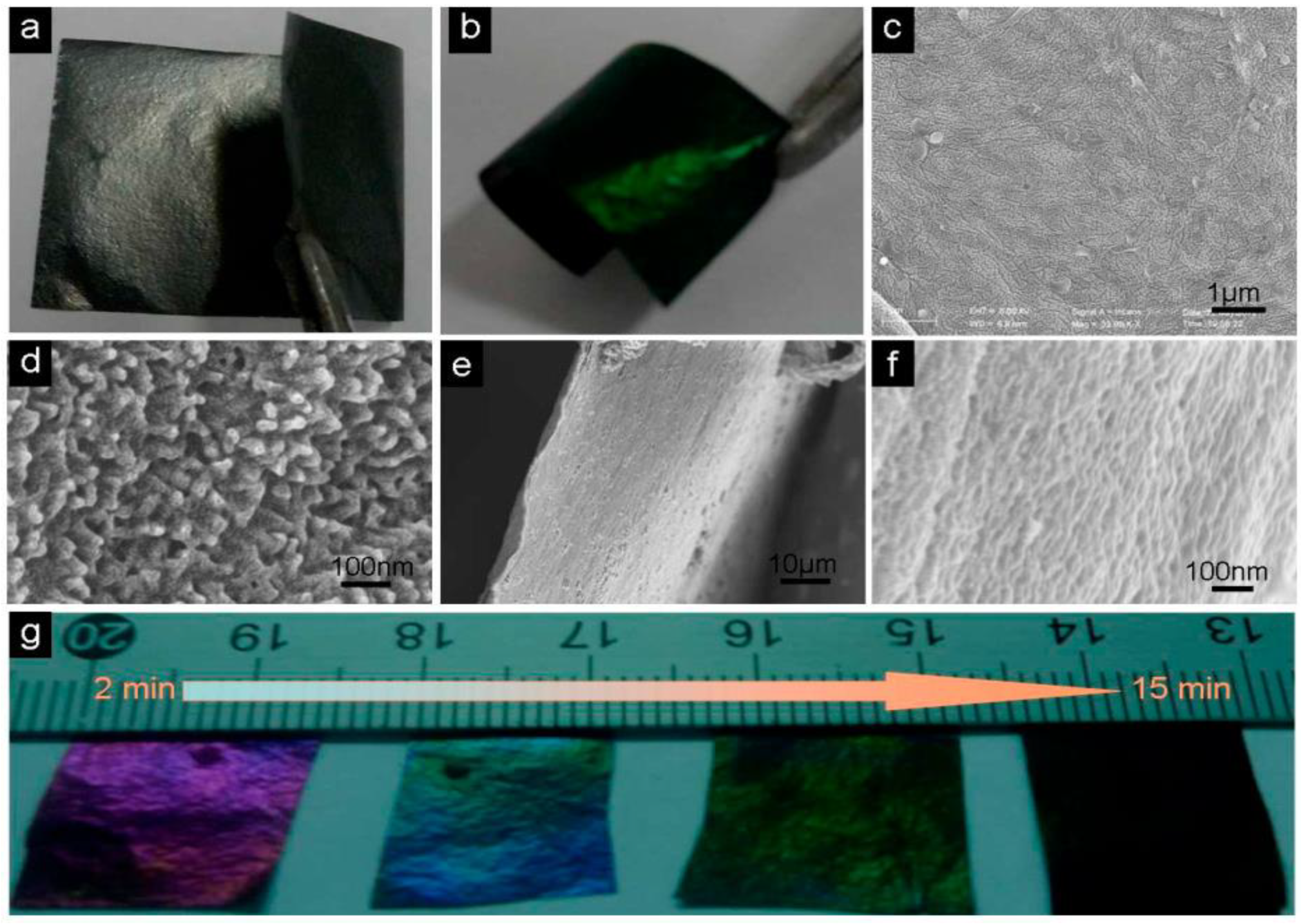 Micromachines 13 01123 g010