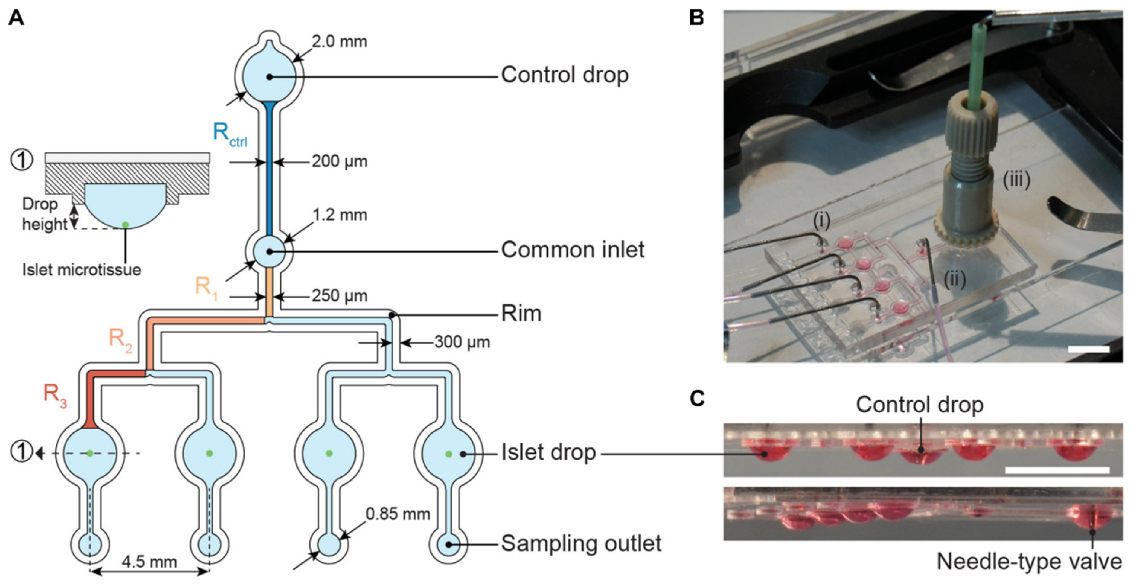 Micromachines 13 01124 g009