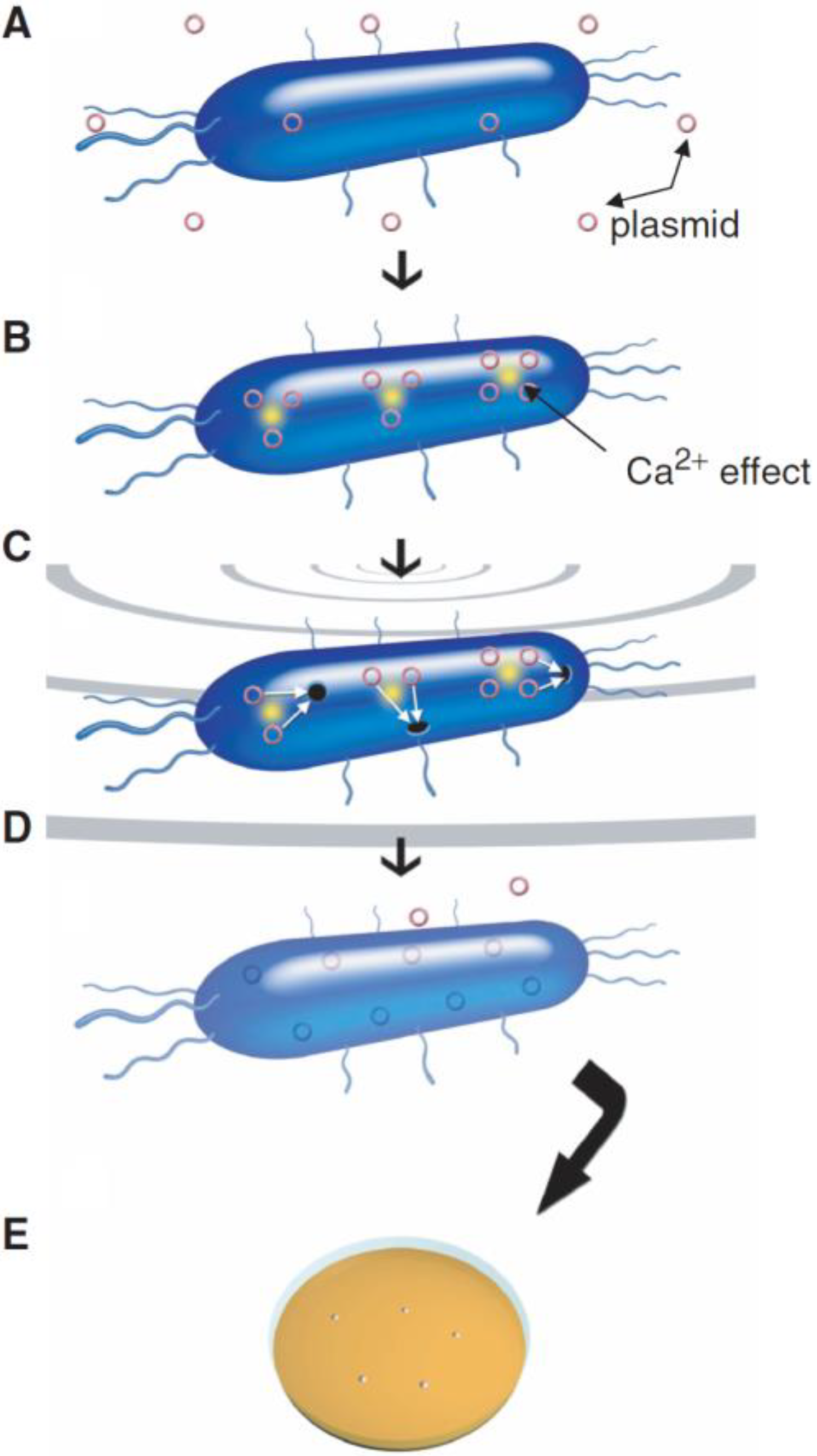 Micromachines 13 01126 g001