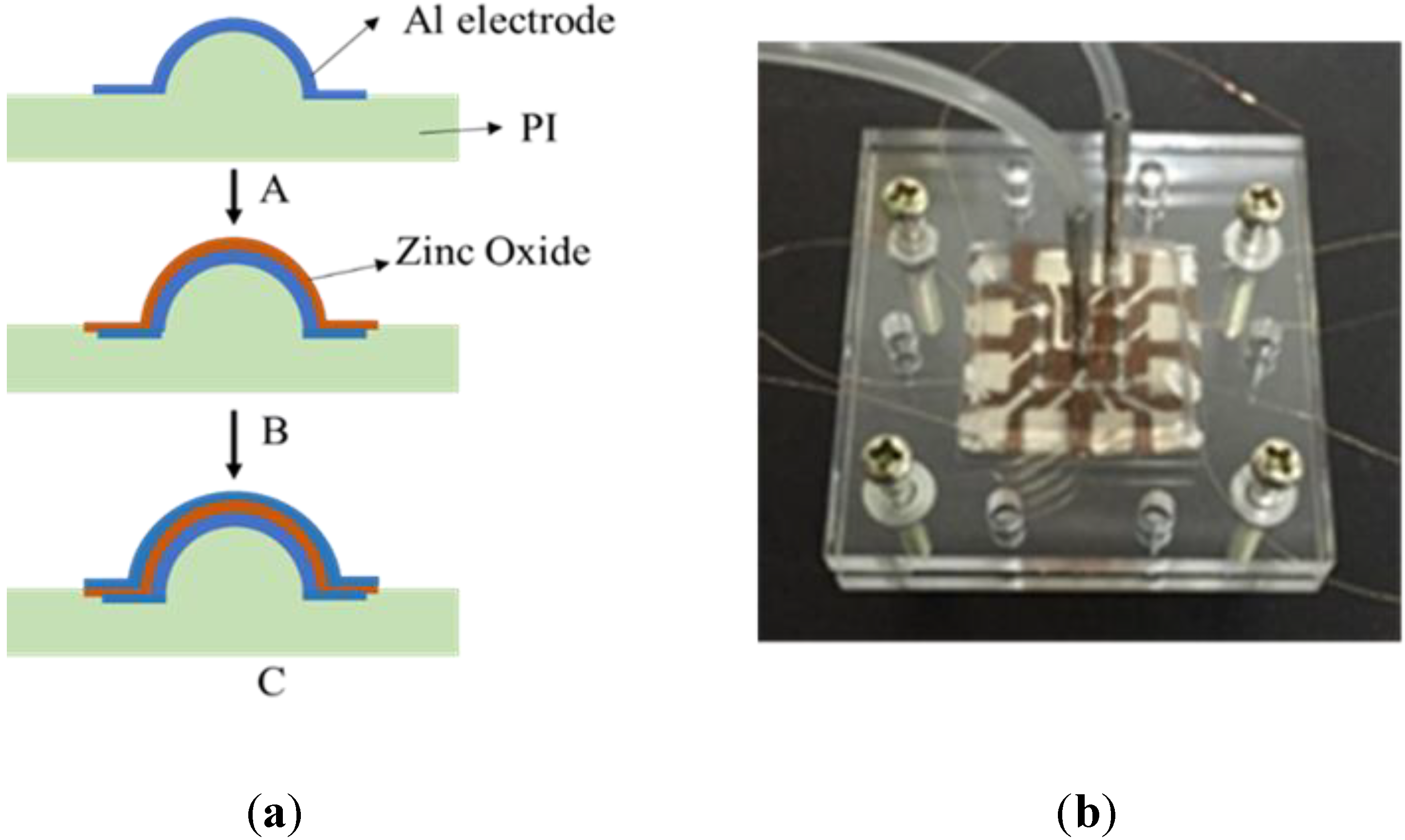 Micromachines 13 01126 g006