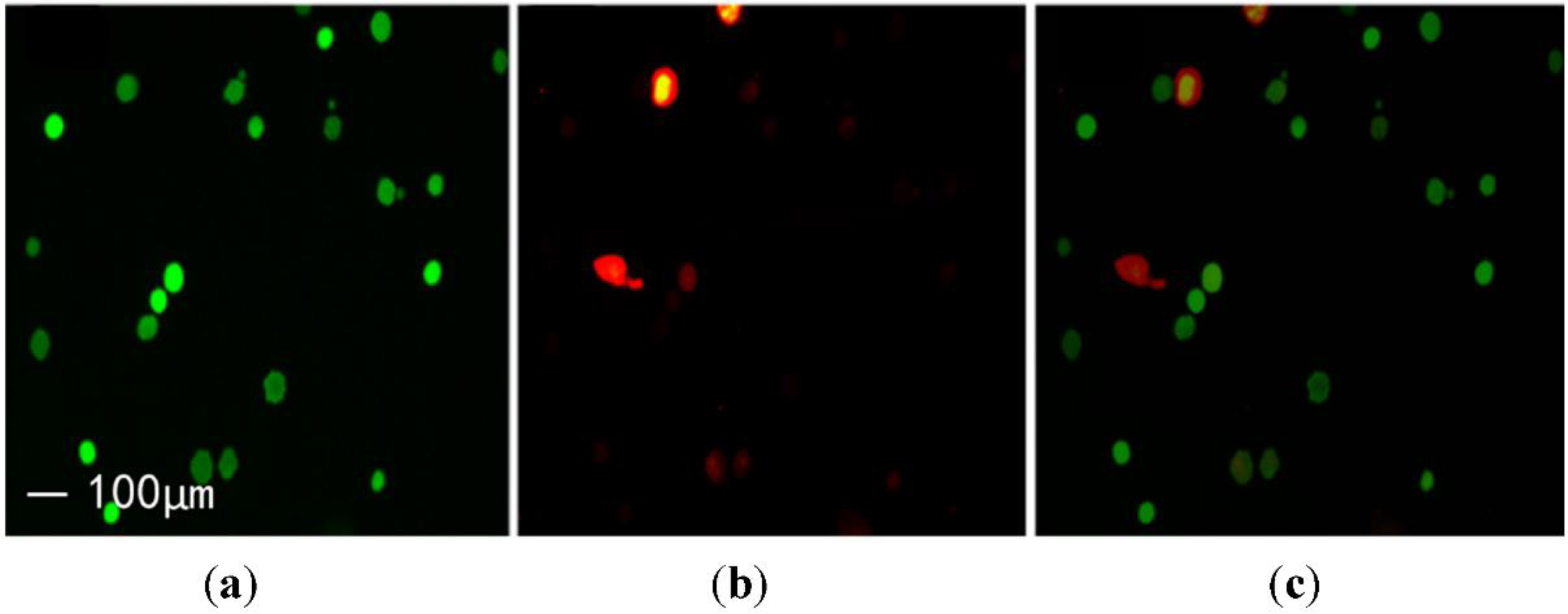 Micromachines 13 01126 g012
