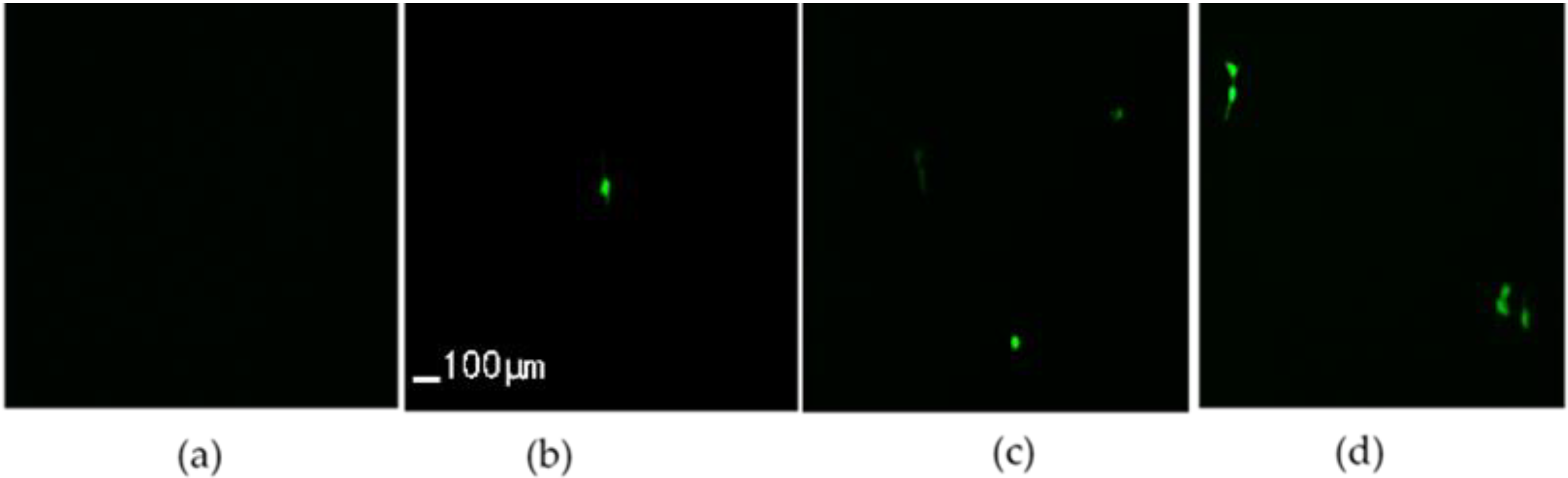 Micromachines 13 01126 g013