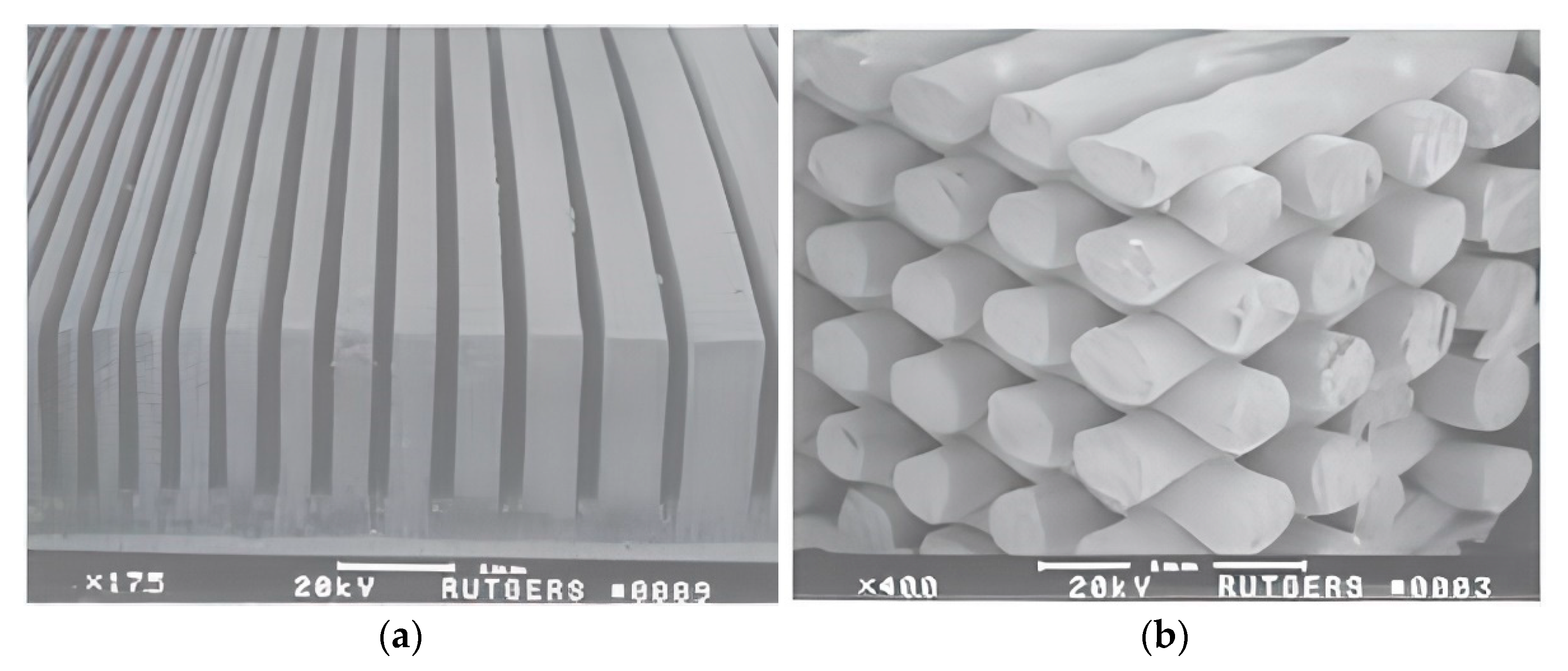 Micromachines 13 01129 g008