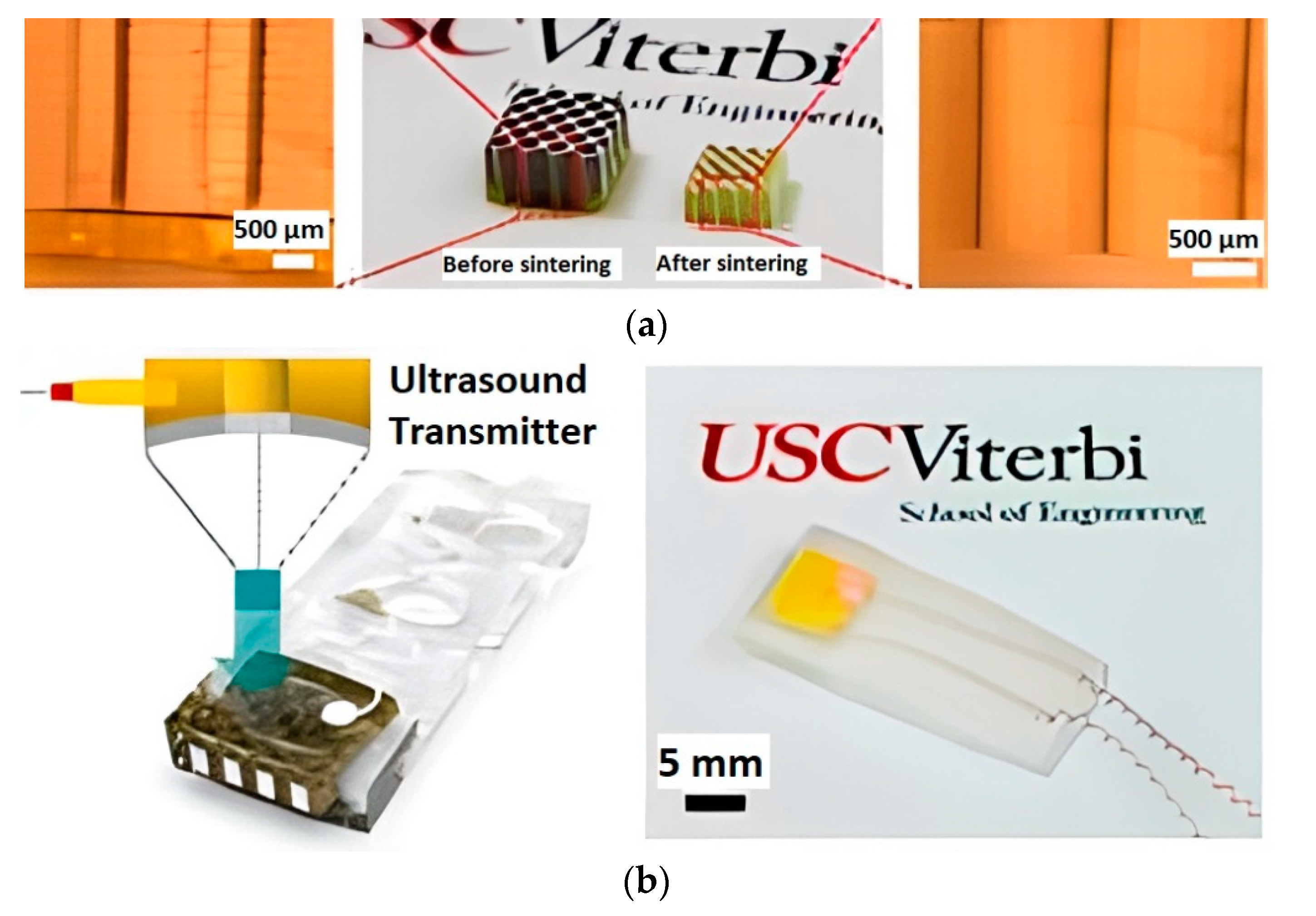 Micromachines 13 01129 g010