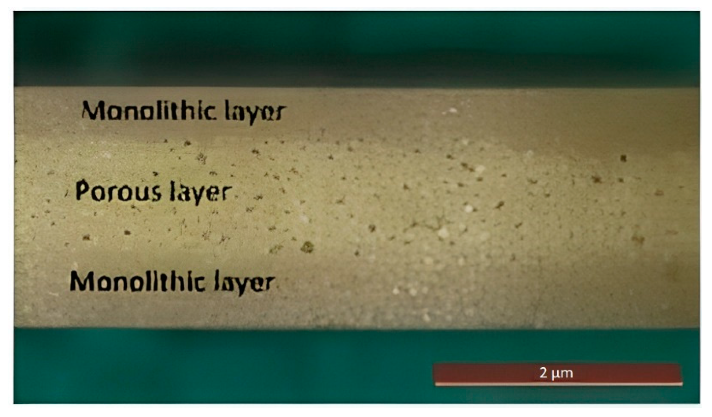 Micromachines 13 01129 g014