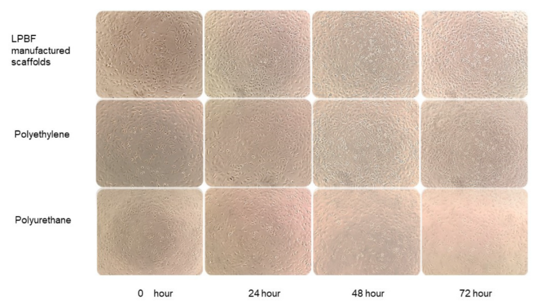 Micromachines 13 01135 g008