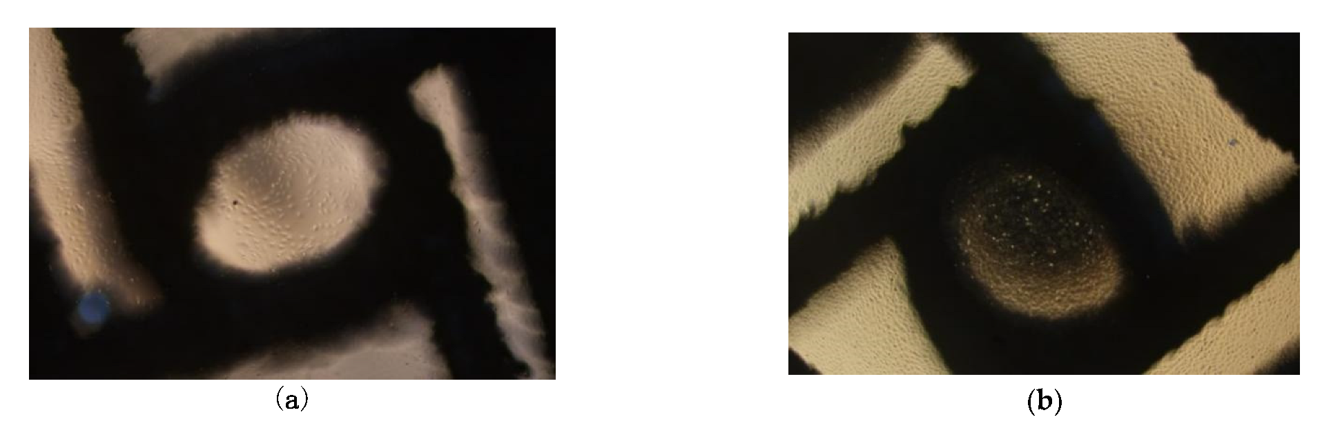 Micromachines 13 01135 g010