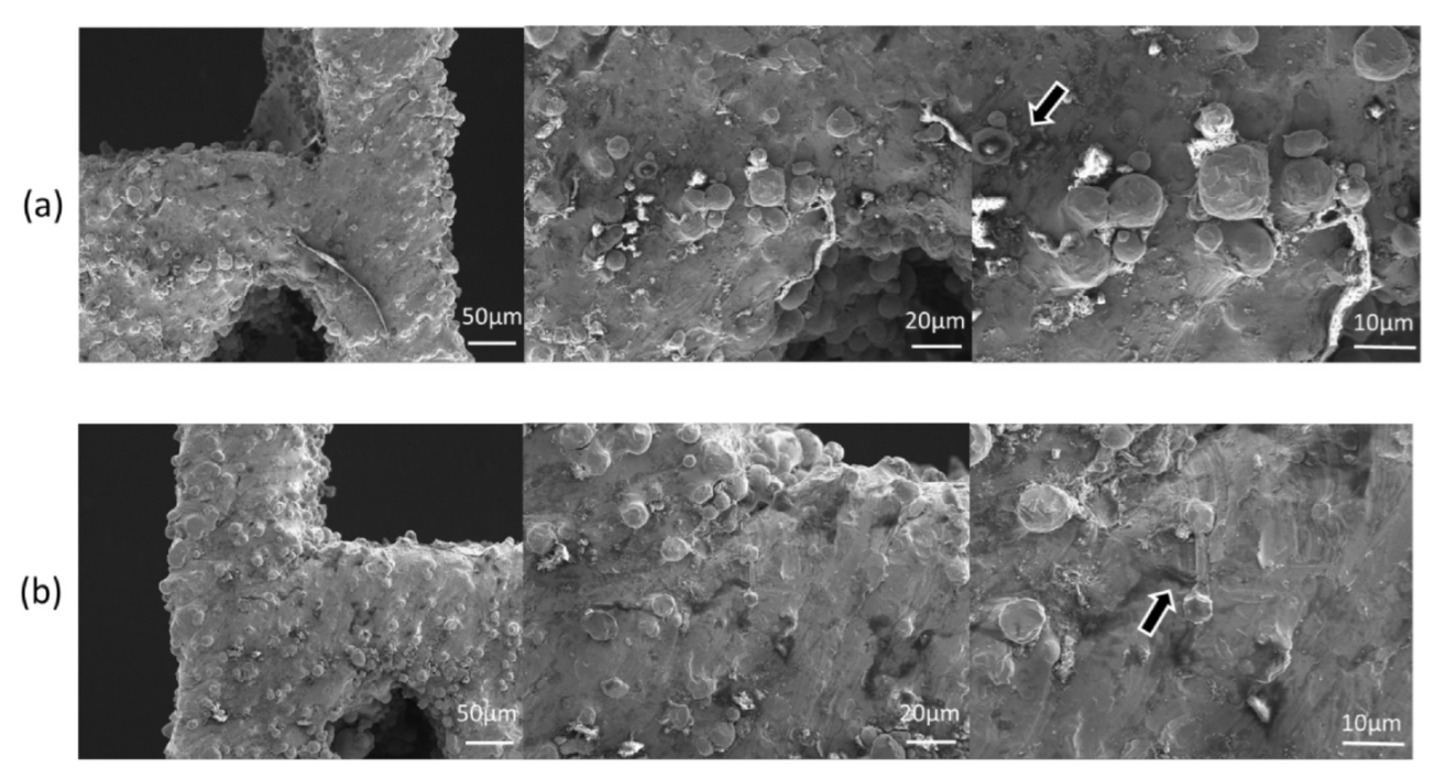 Micromachines 13 01135 g011