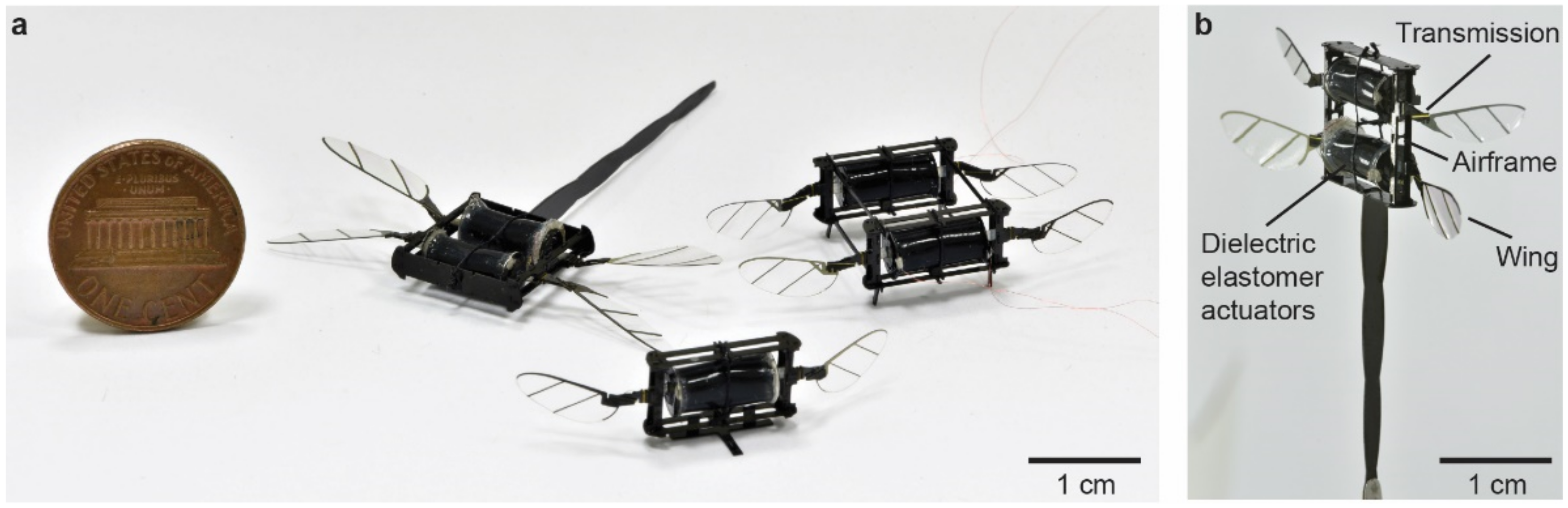 Micromachines 13 01136 g001