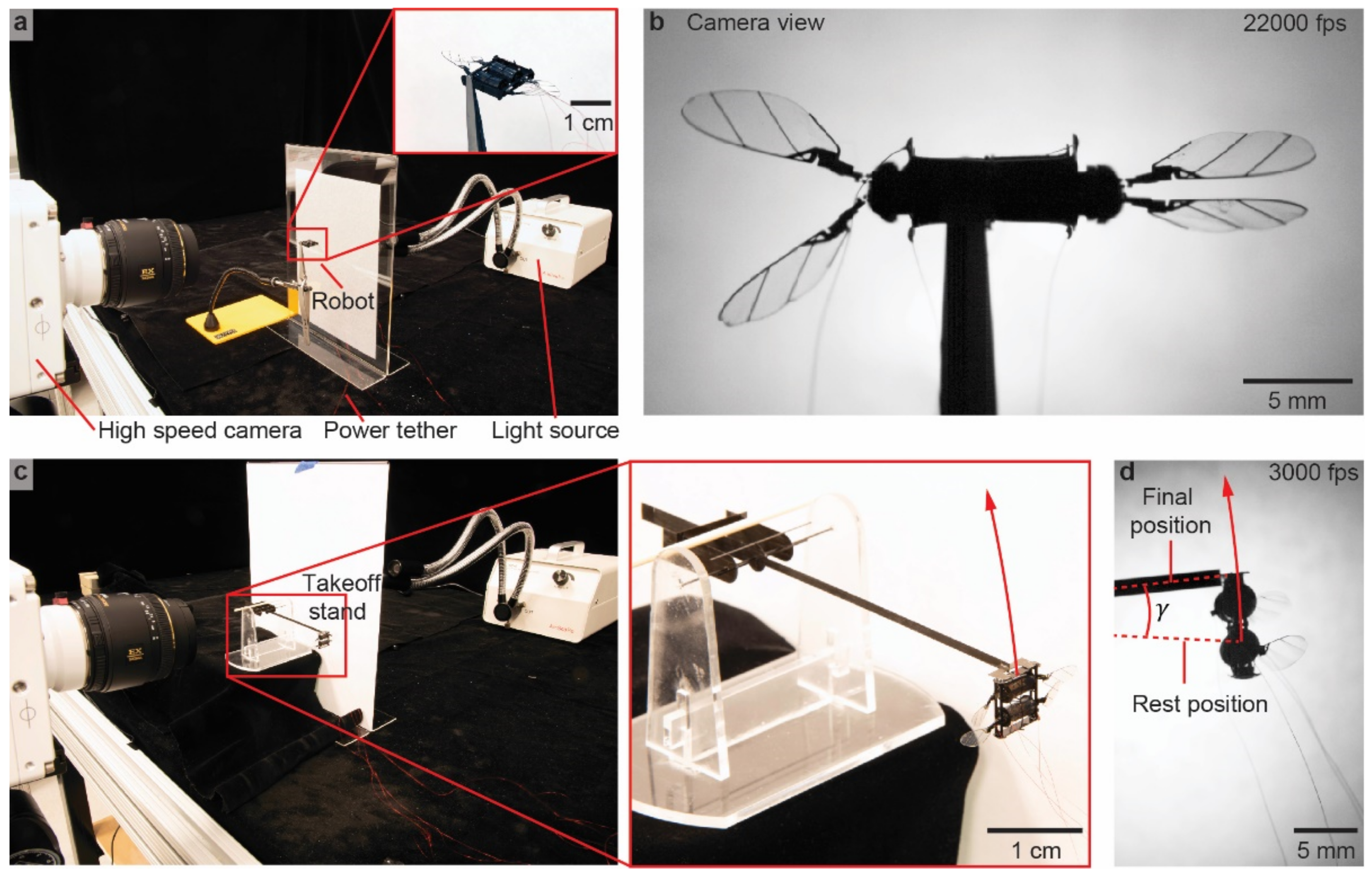 Micromachines 13 01136 g003