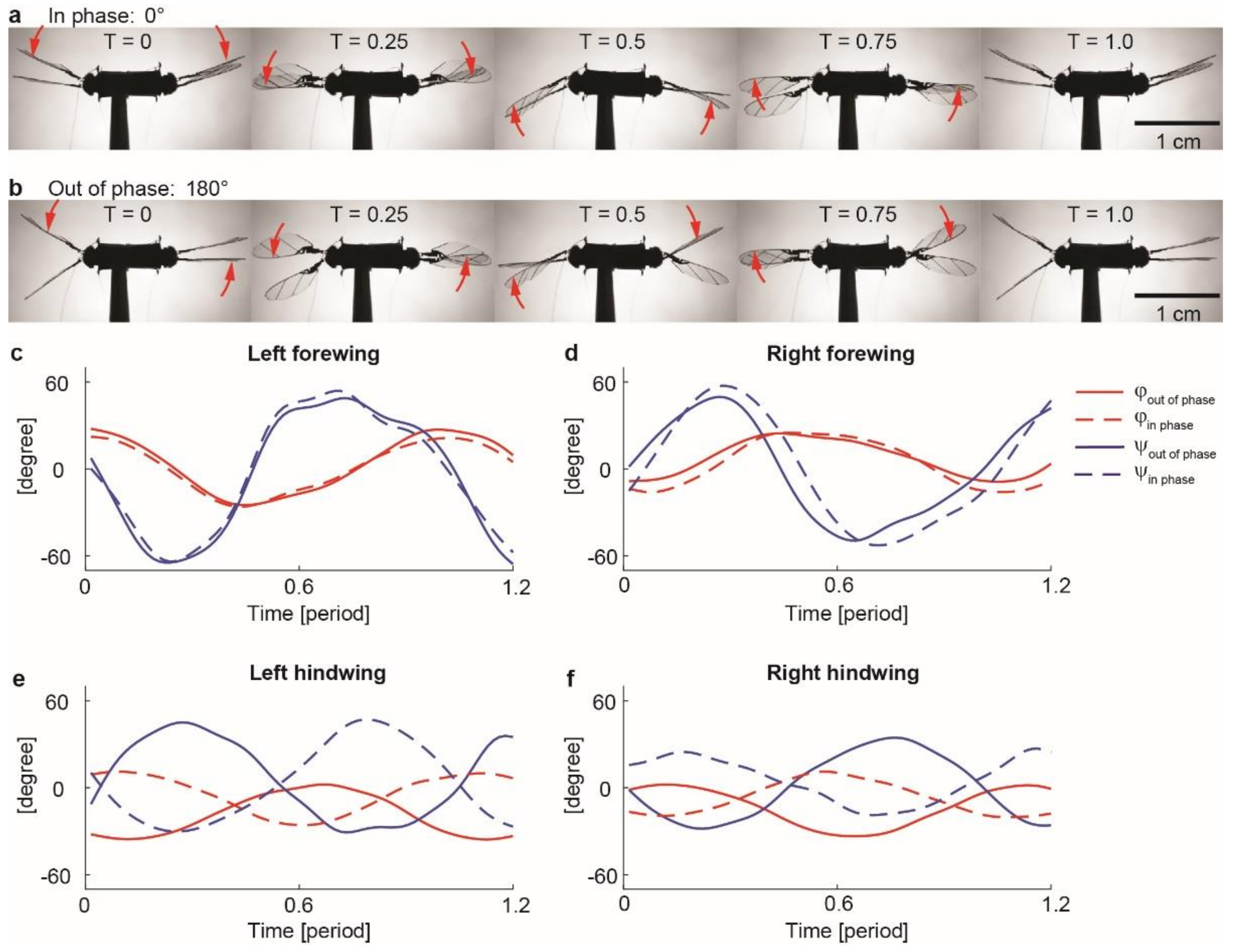 Micromachines 13 01136 g005