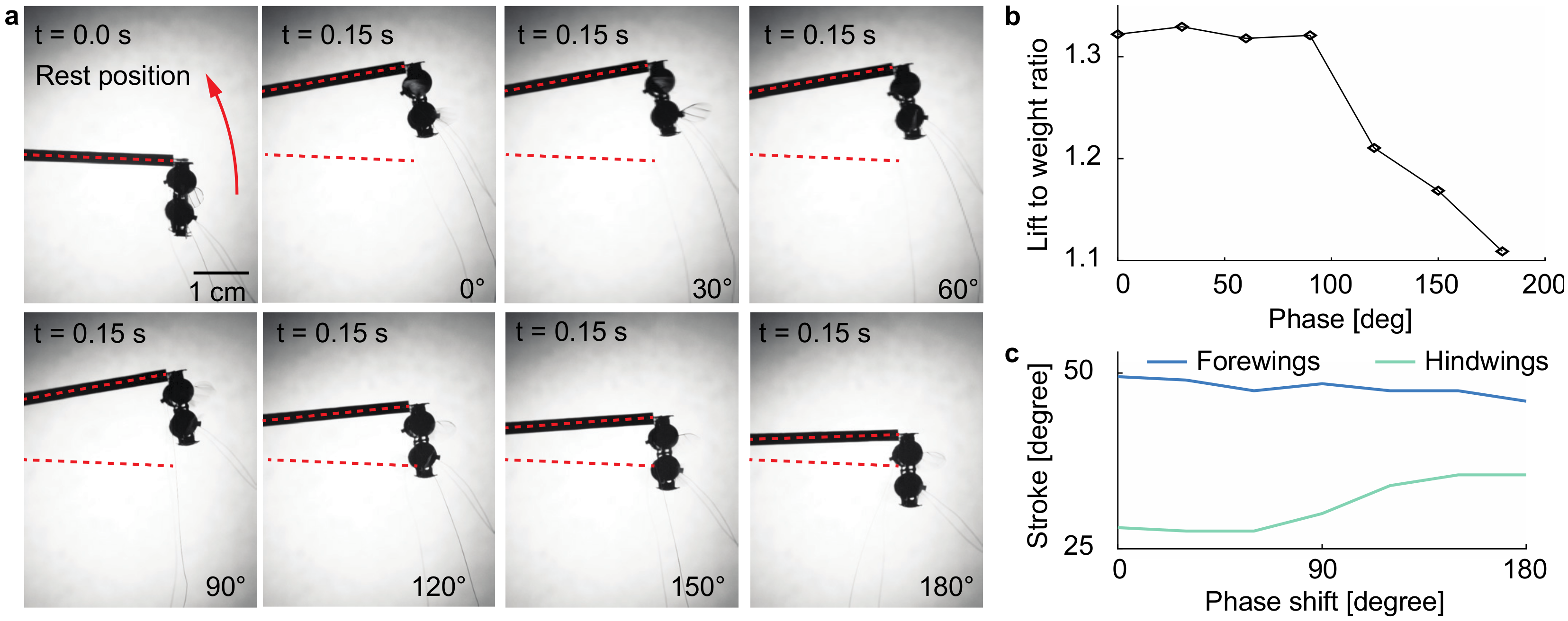 Micromachines 13 01136 g006