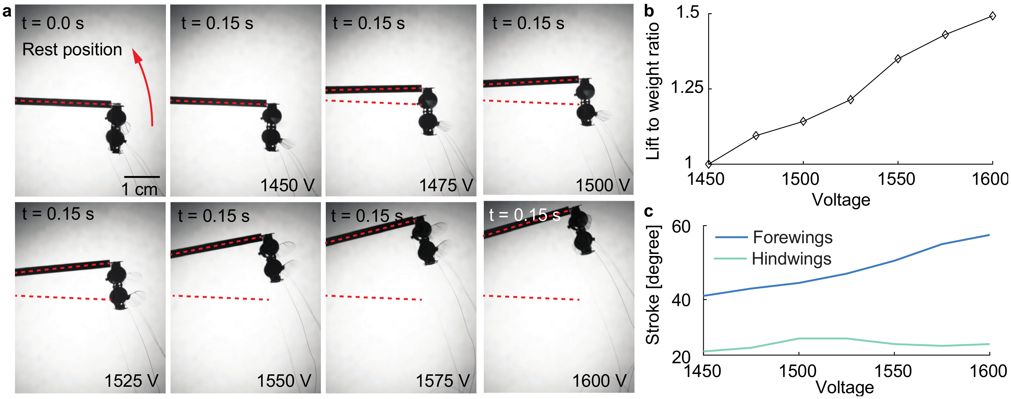 Micromachines 13 01136 g008