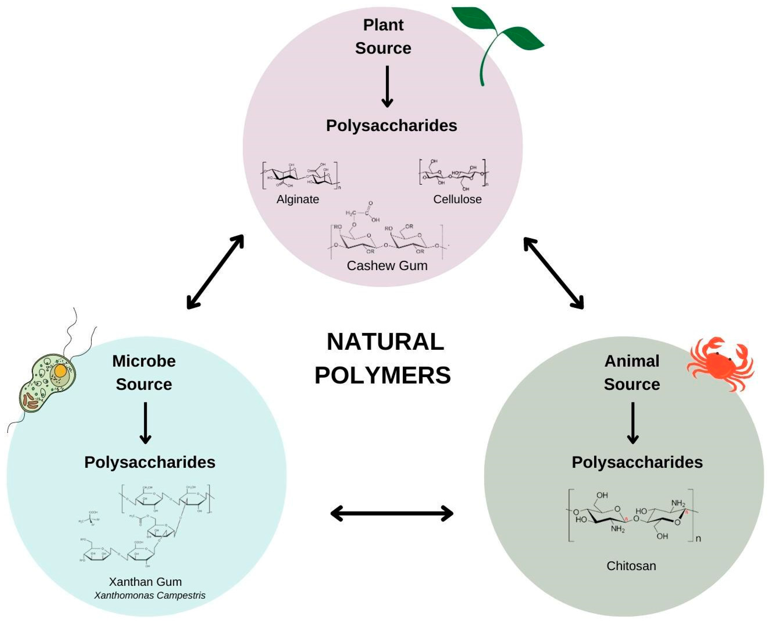 Micromachines 13 01137 g001