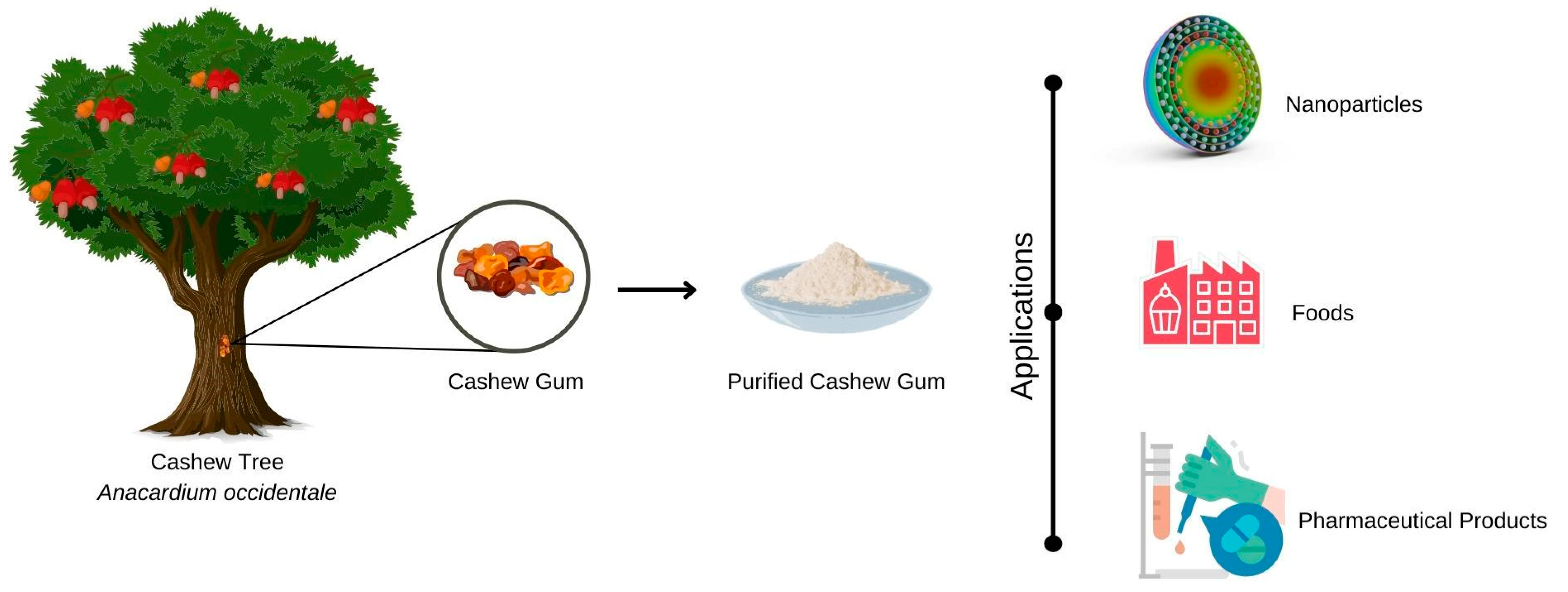 Micromachines 13 01137 g003