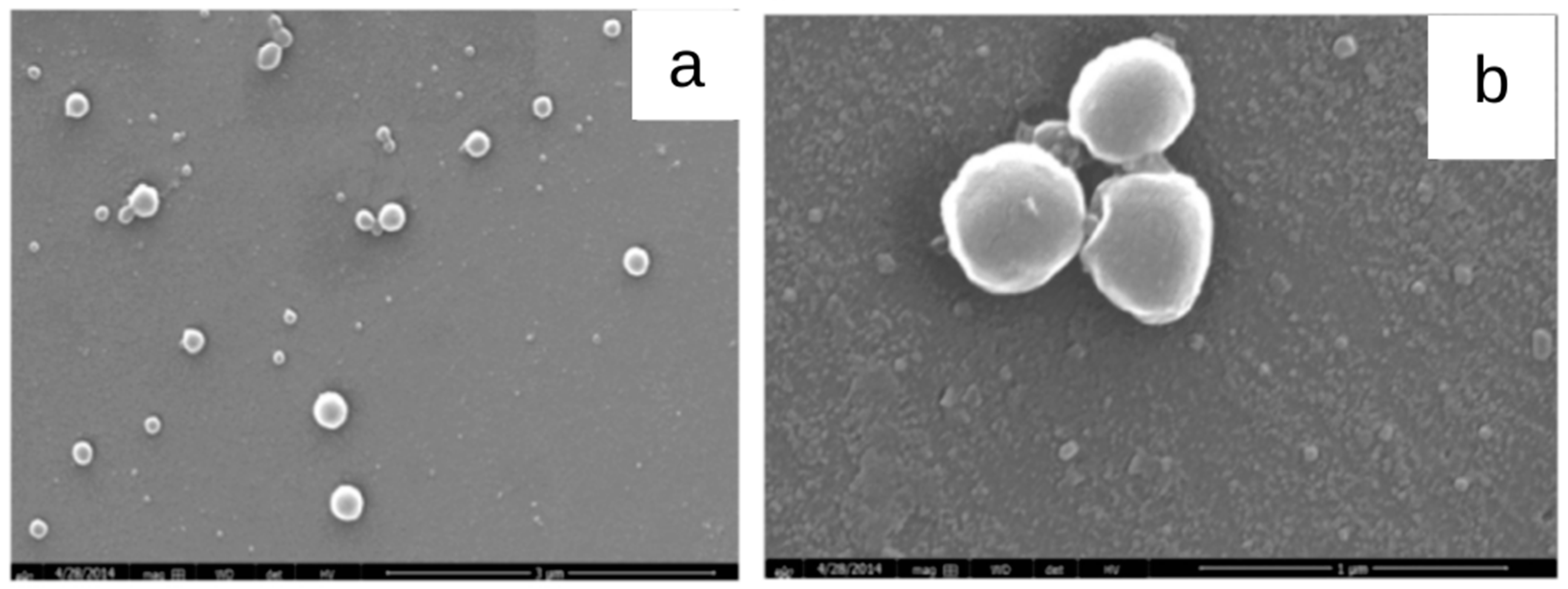 Micromachines 13 01137 g006