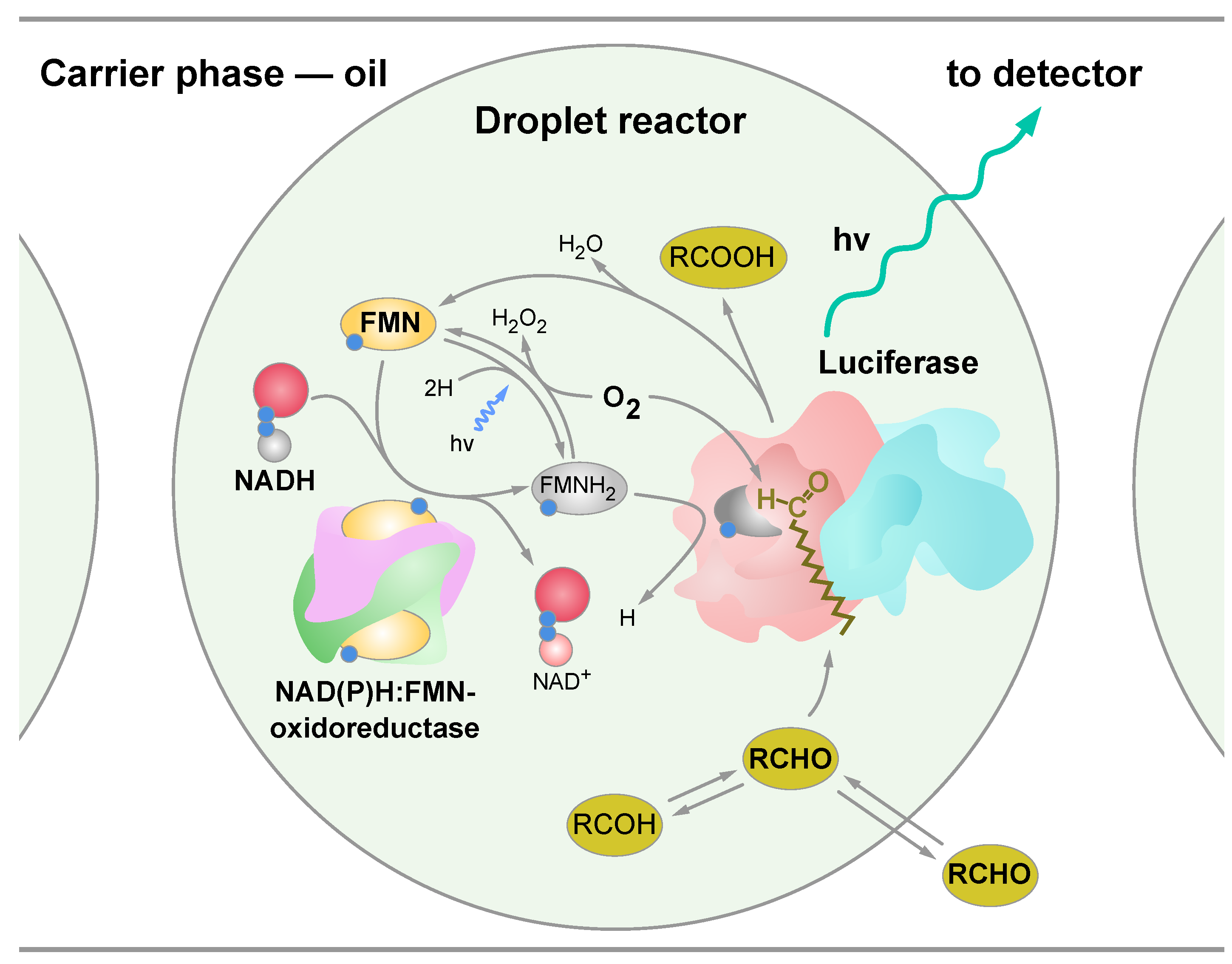 Micromachines 13 01146 g001