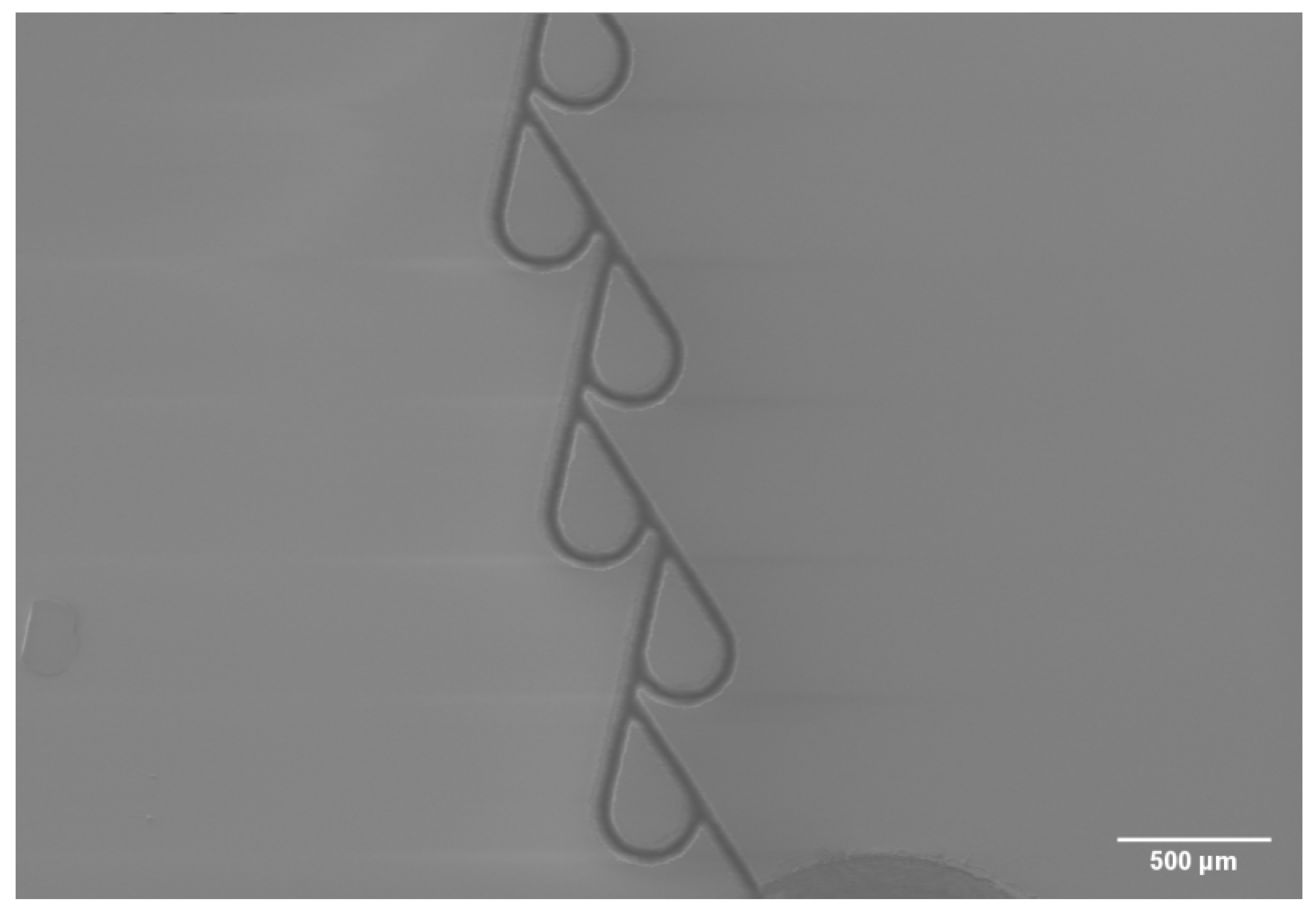 Micromachines 13 01180 g007