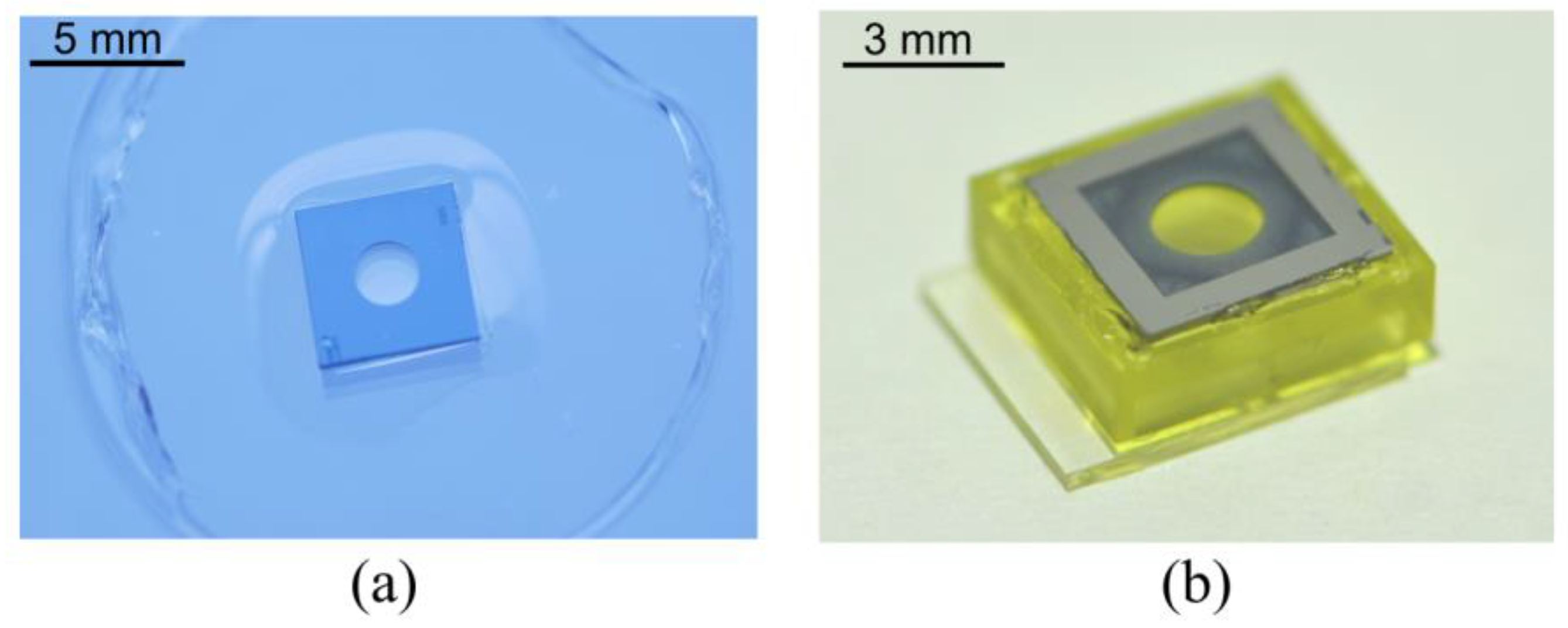 Micromachines 13 01189 g008