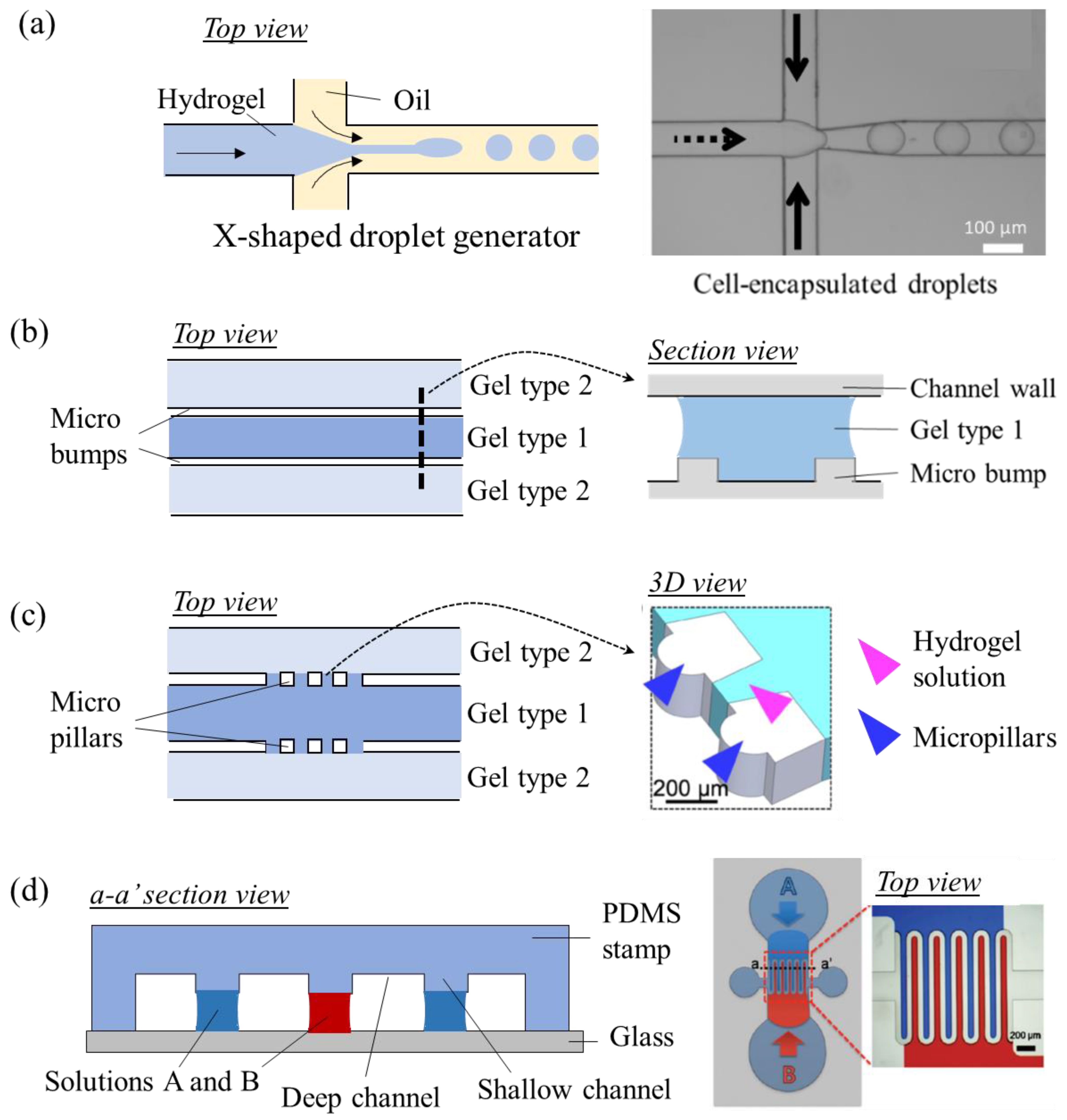 Micromachines 13 01200 g003