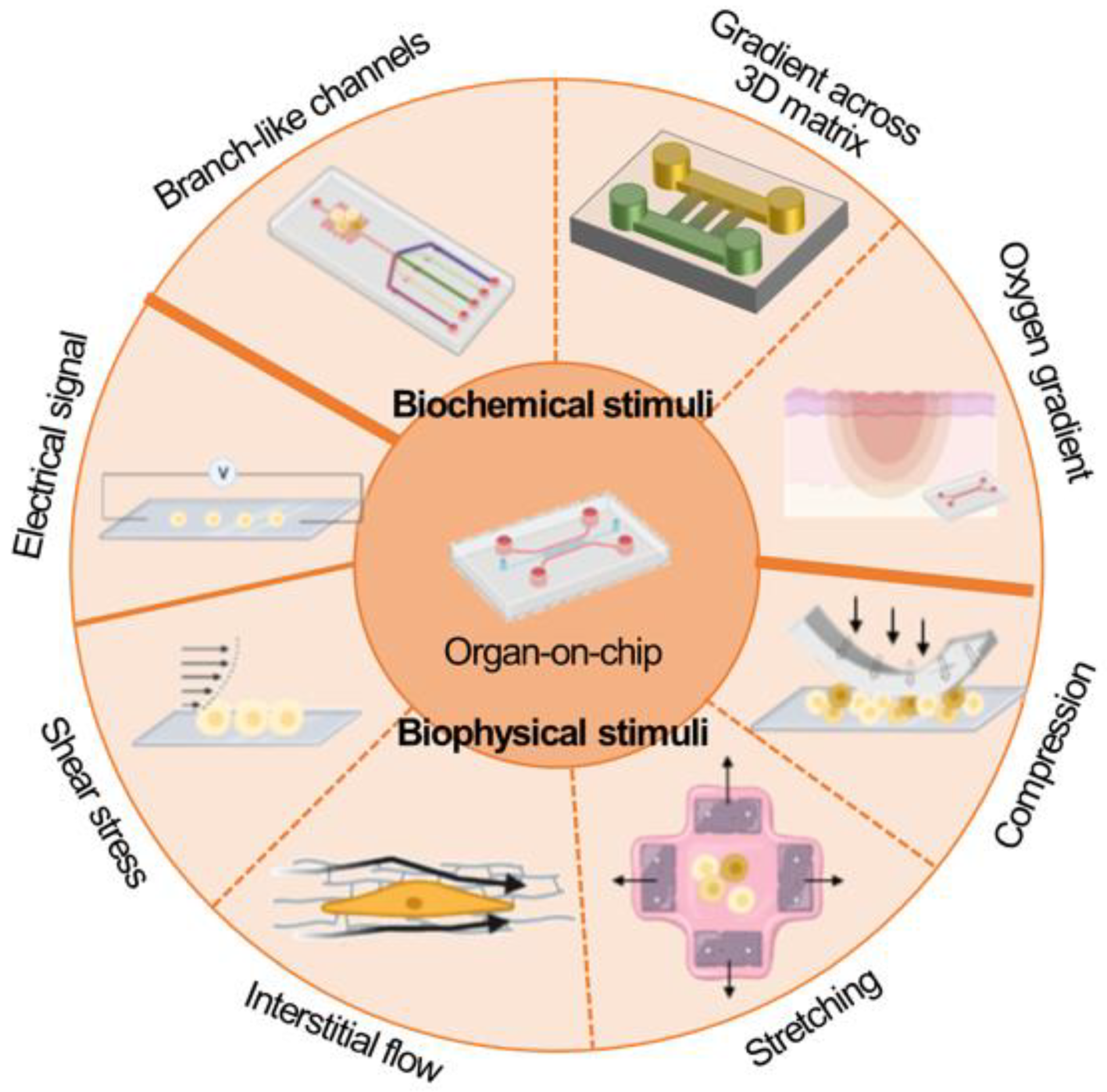 Micromachines 13 01200 g004