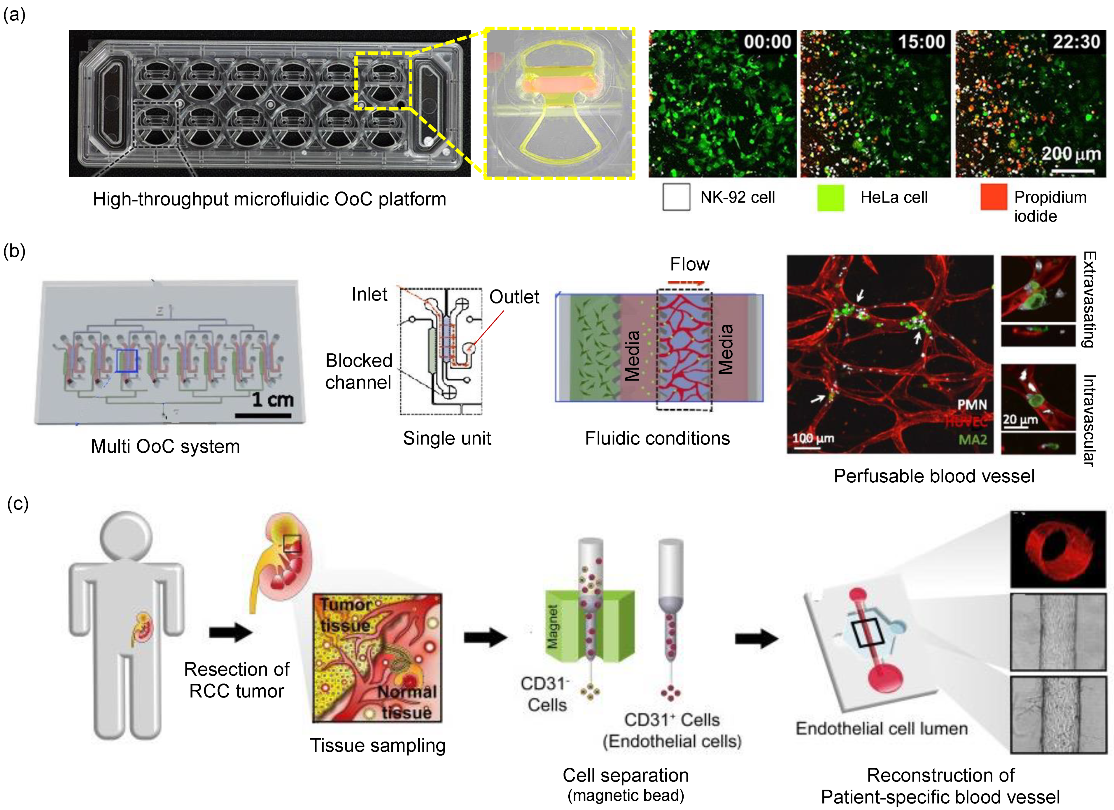 Micromachines 13 01200 g005
