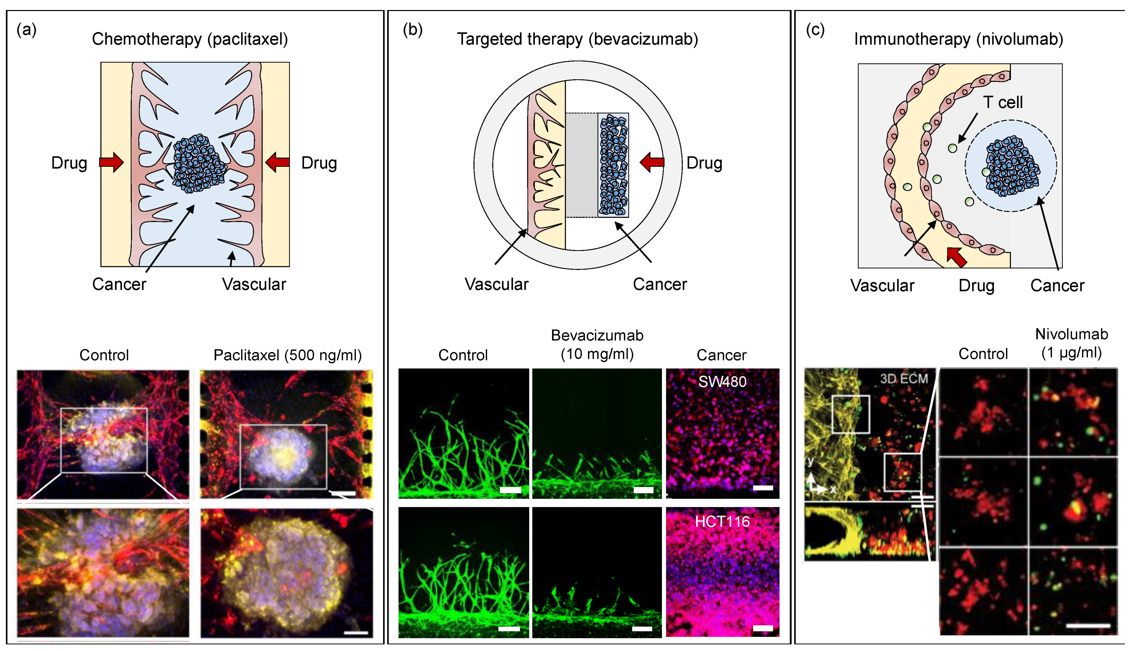 Micromachines 13 01200 g006