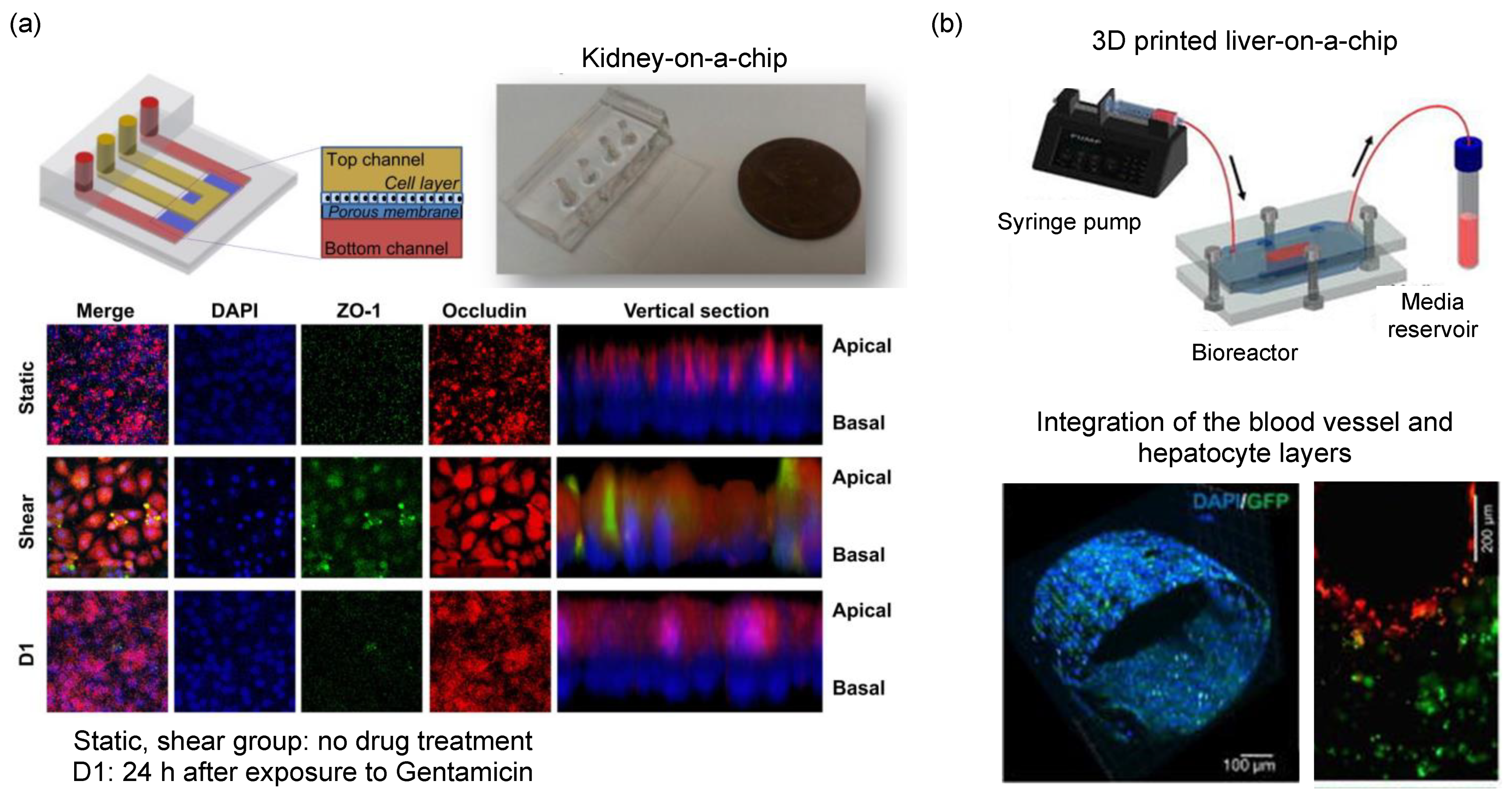 Micromachines 13 01200 g007