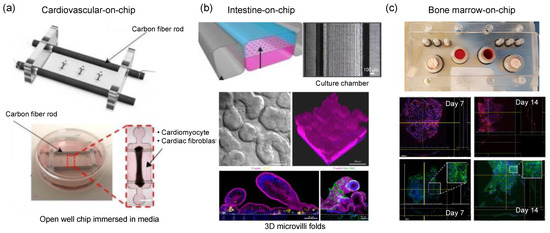 Micromachines 13 01200 g008 550