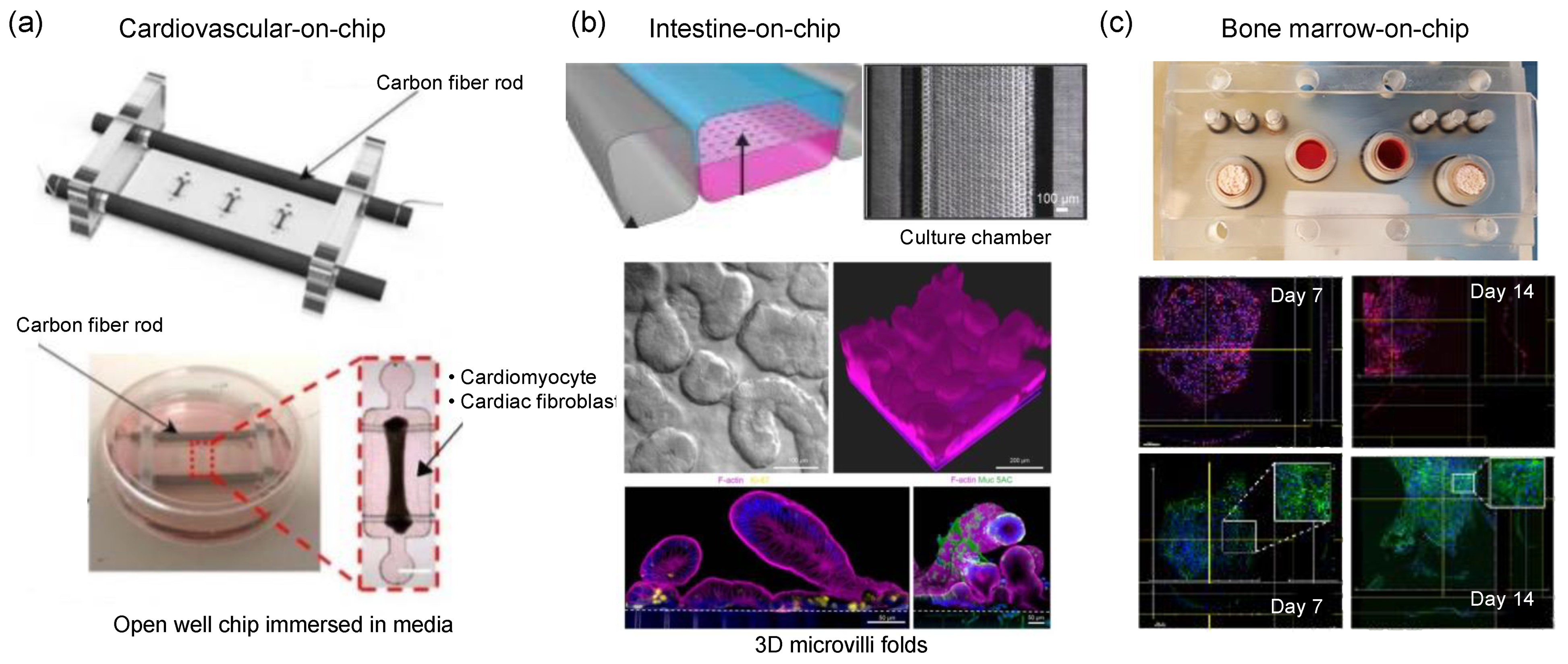 Micromachines 13 01200 g008