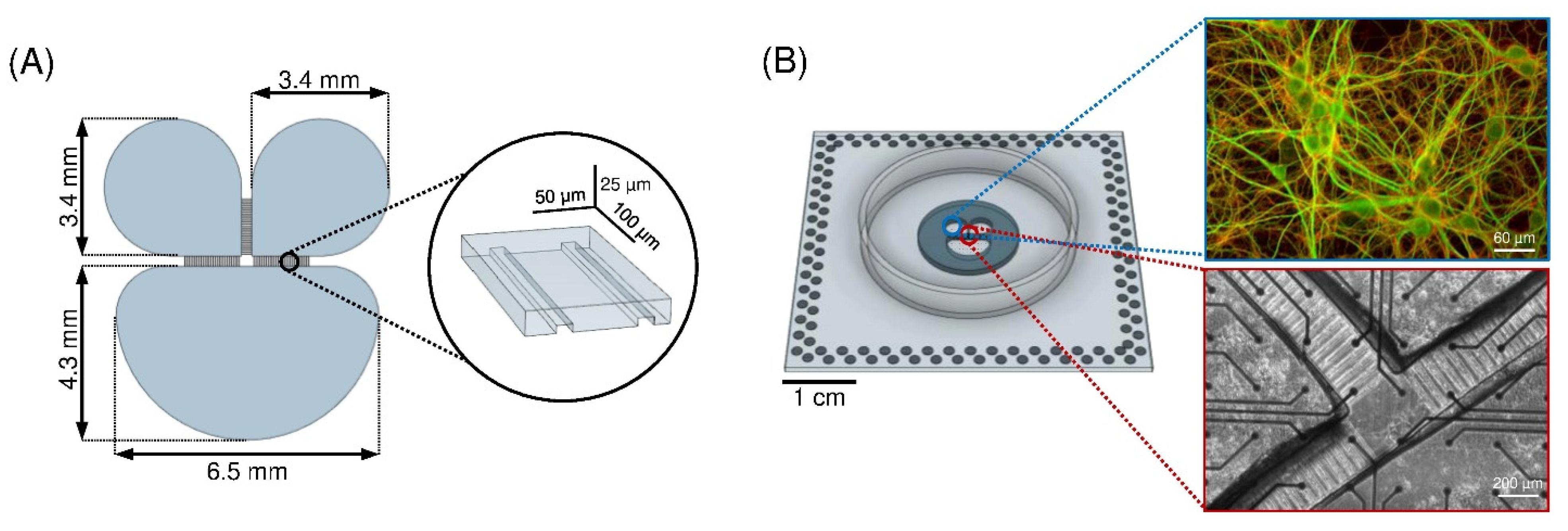 Micromachines 13 01212 g001