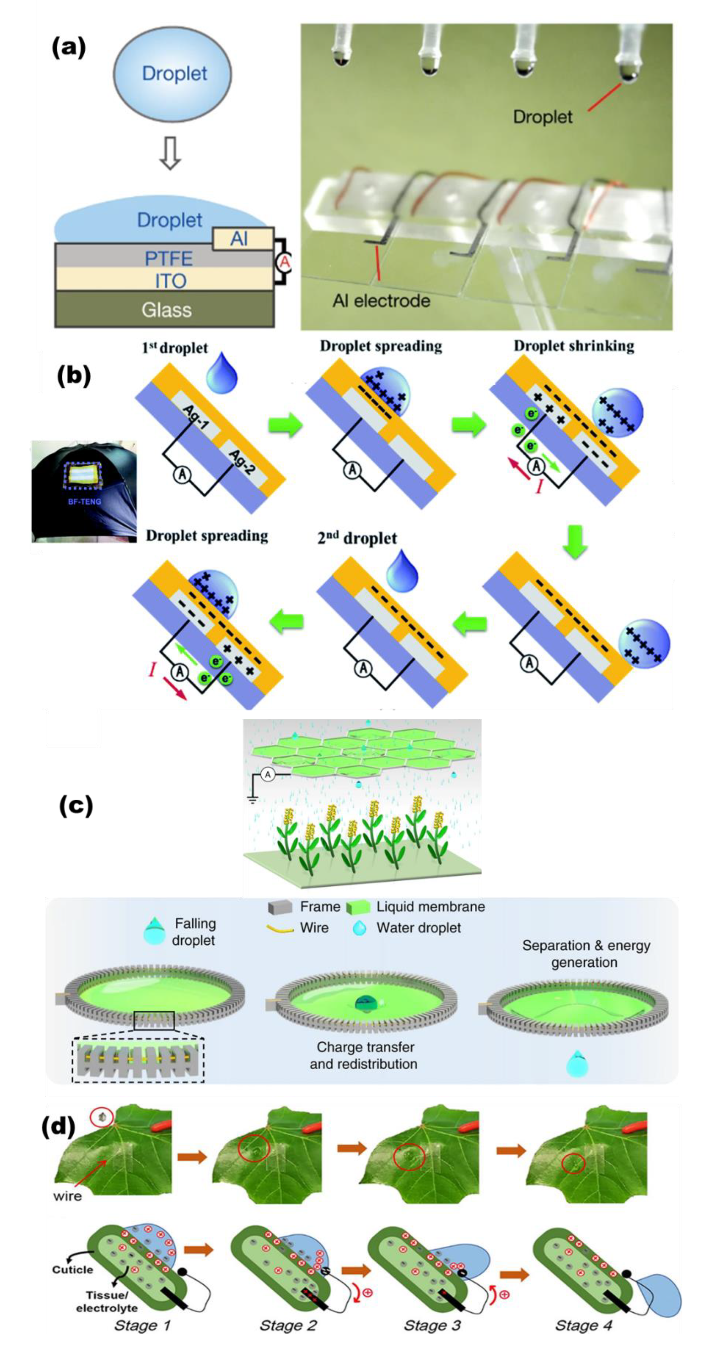 Micromachines 13 01219 g008