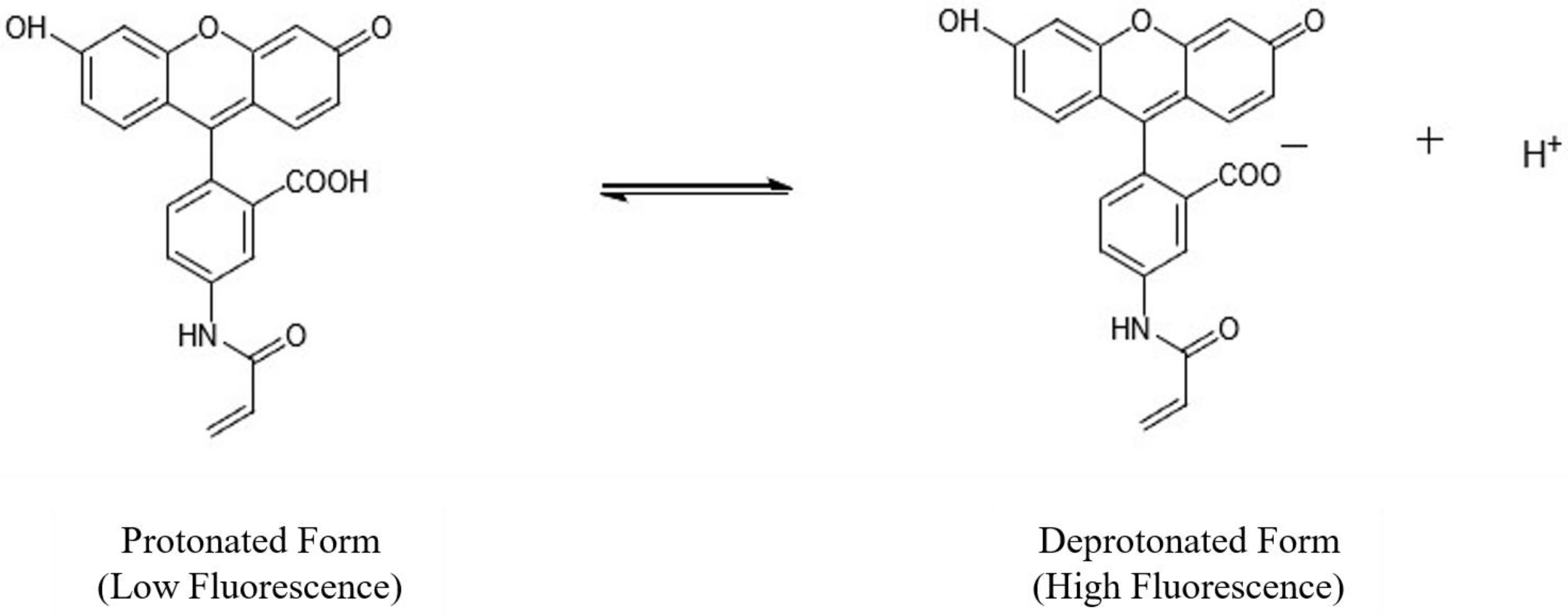 Micromachines 13 01224 g001