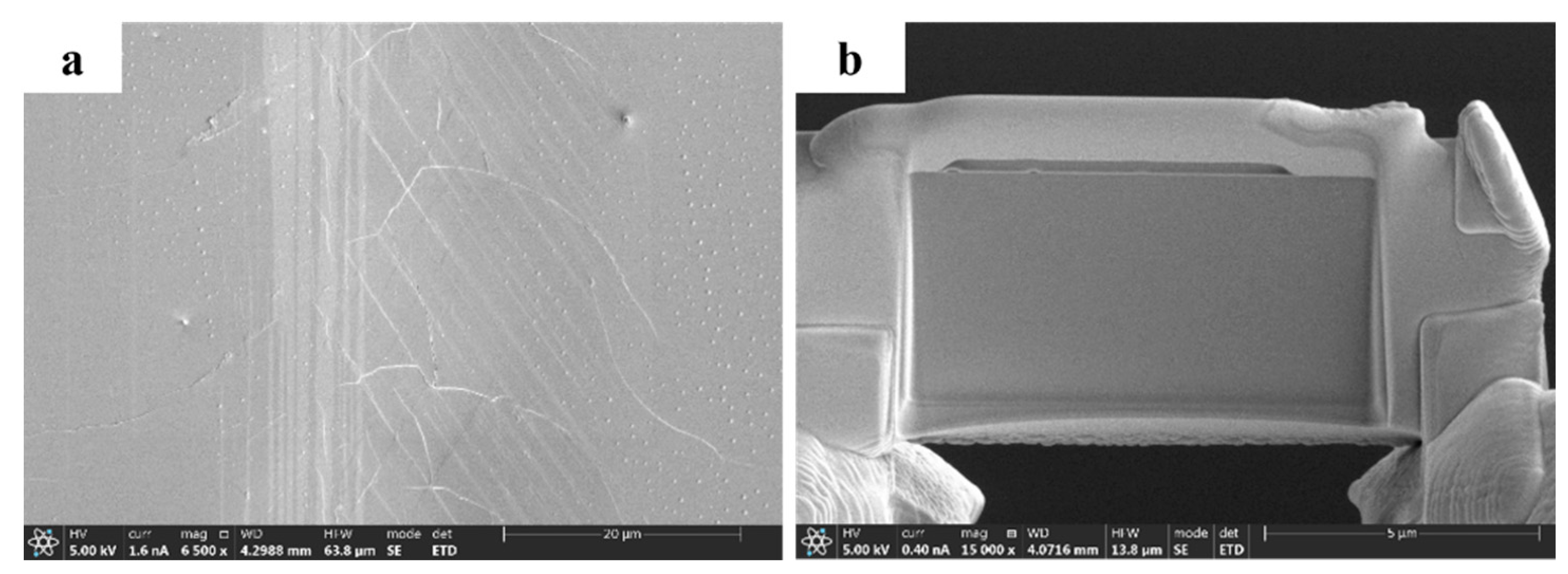 Micromachines 13 01250 g015