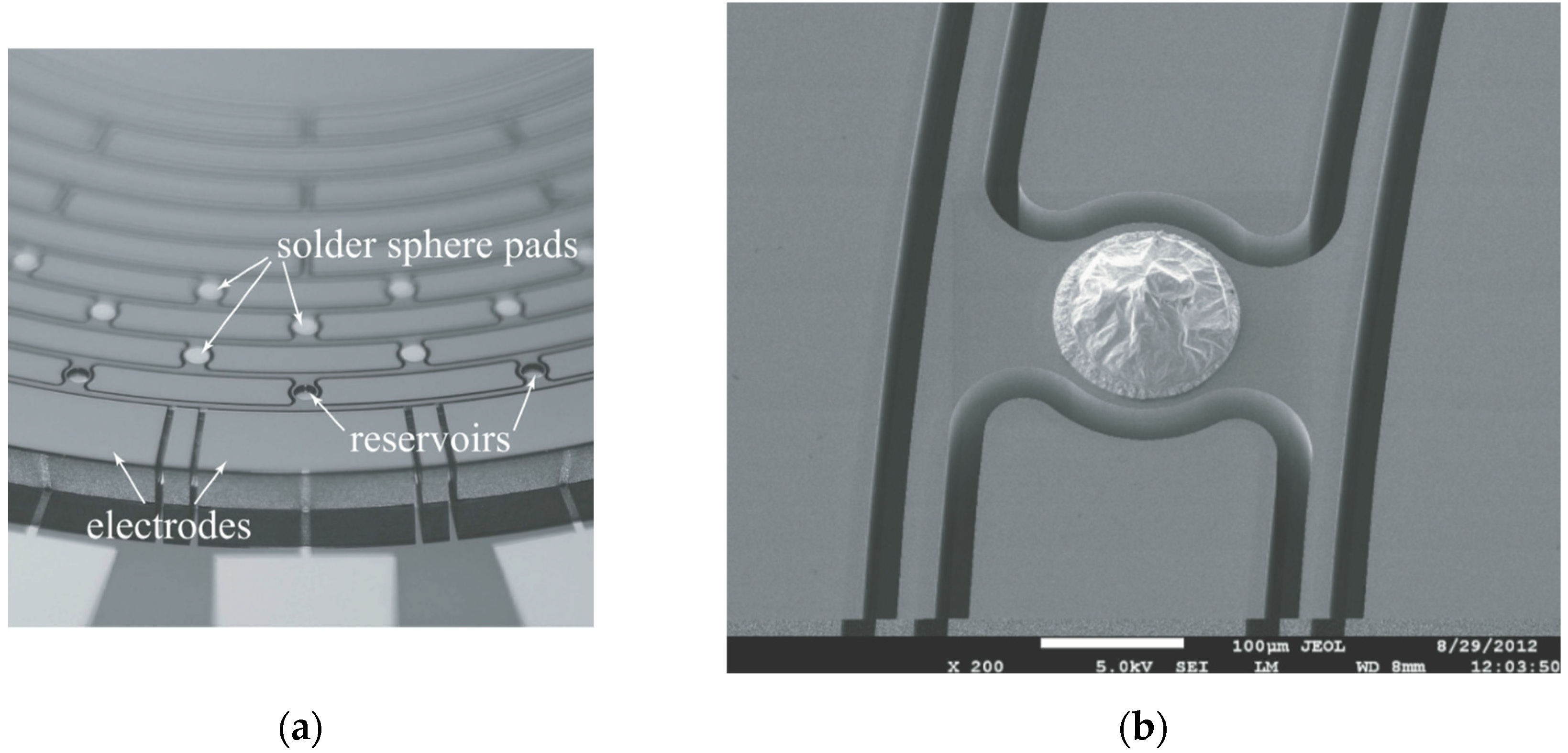 Micromachines 13 01255 g003