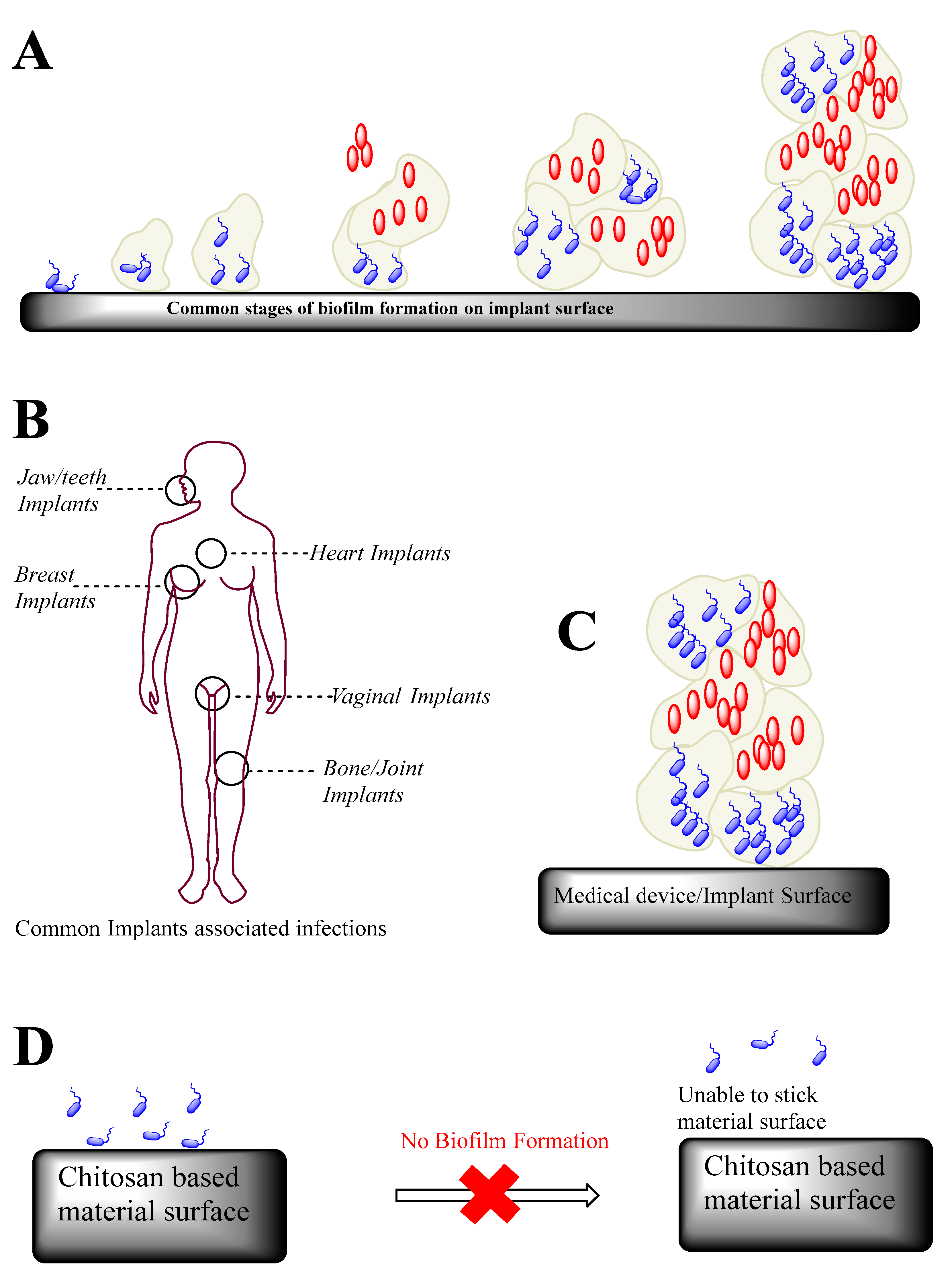 Micromachines 13 01265 g002