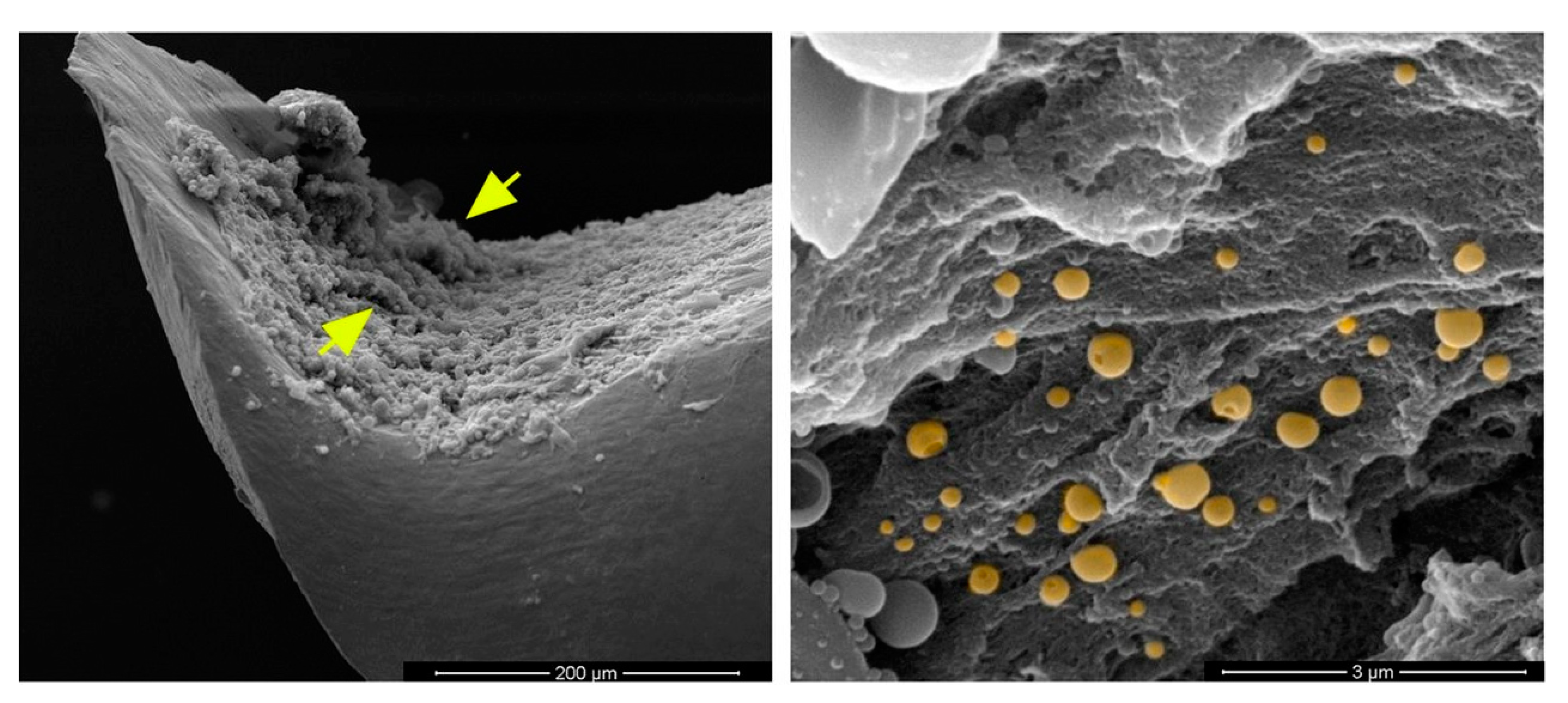 Micromachines 13 01265 g003