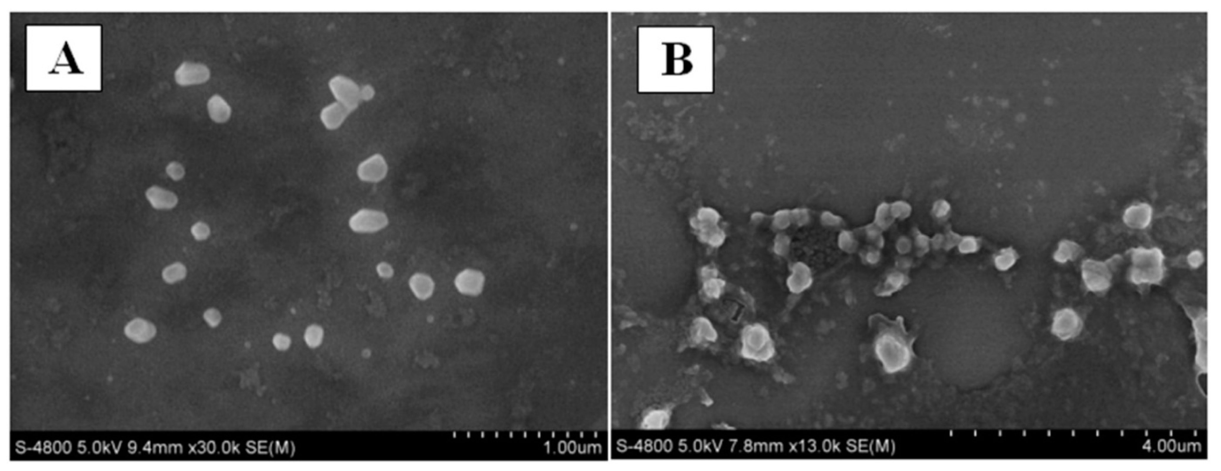 Micromachines 13 01265 g009