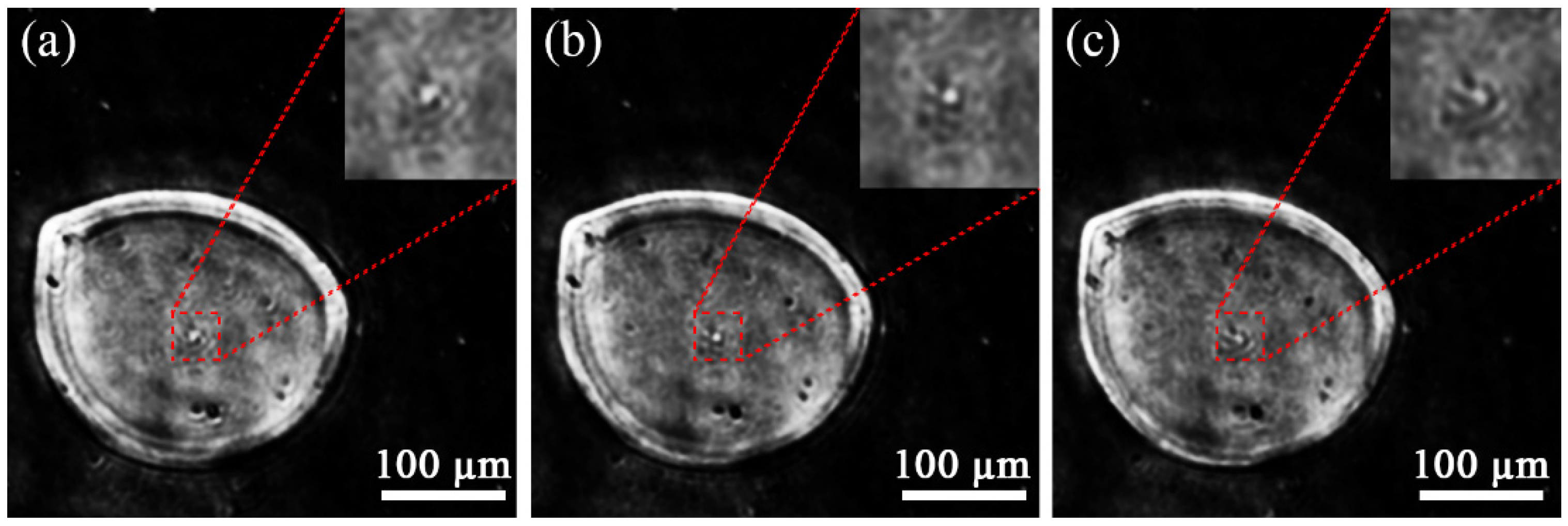 Micromachines 13 01284 g008