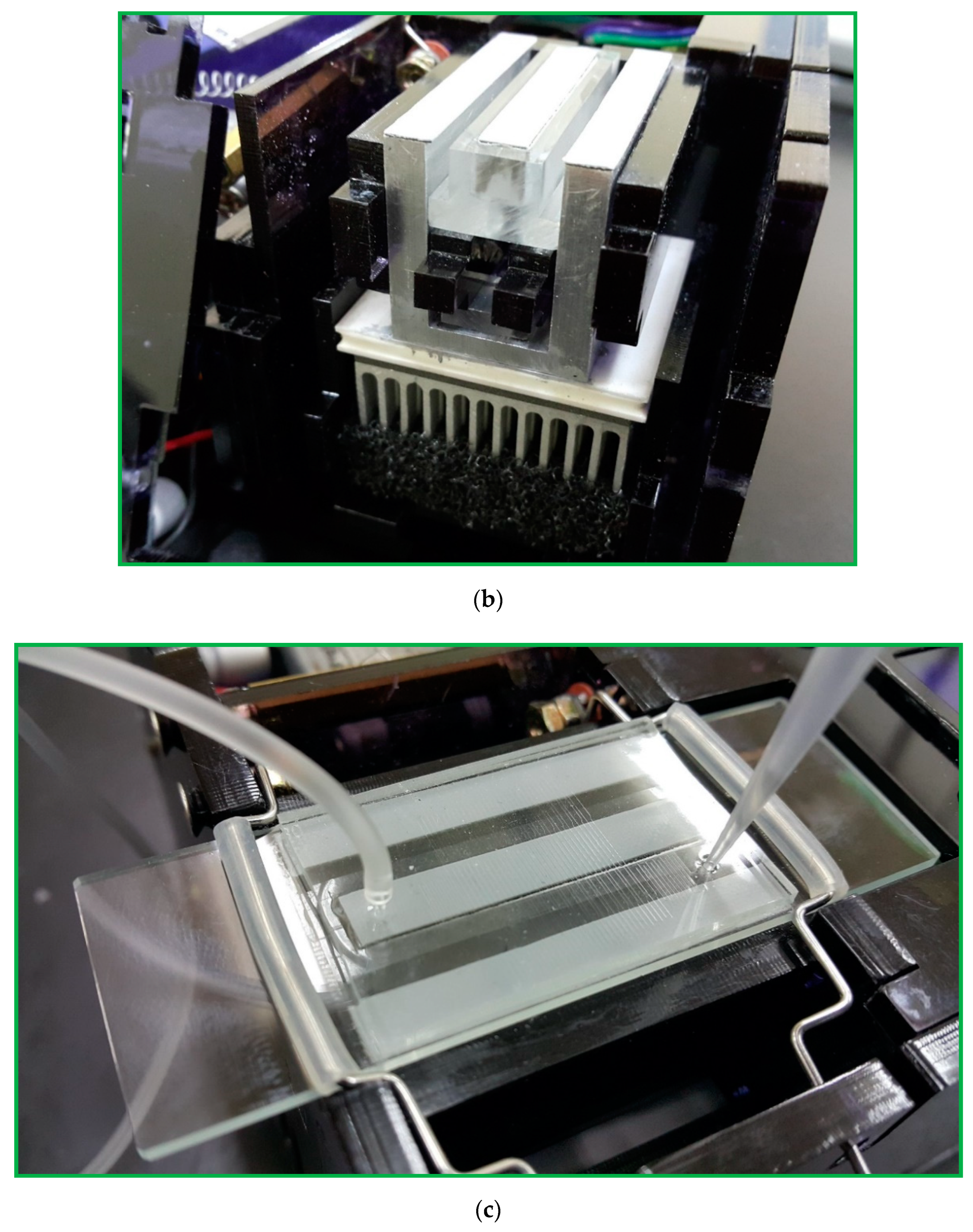 Micromachines 13 01289 g004b