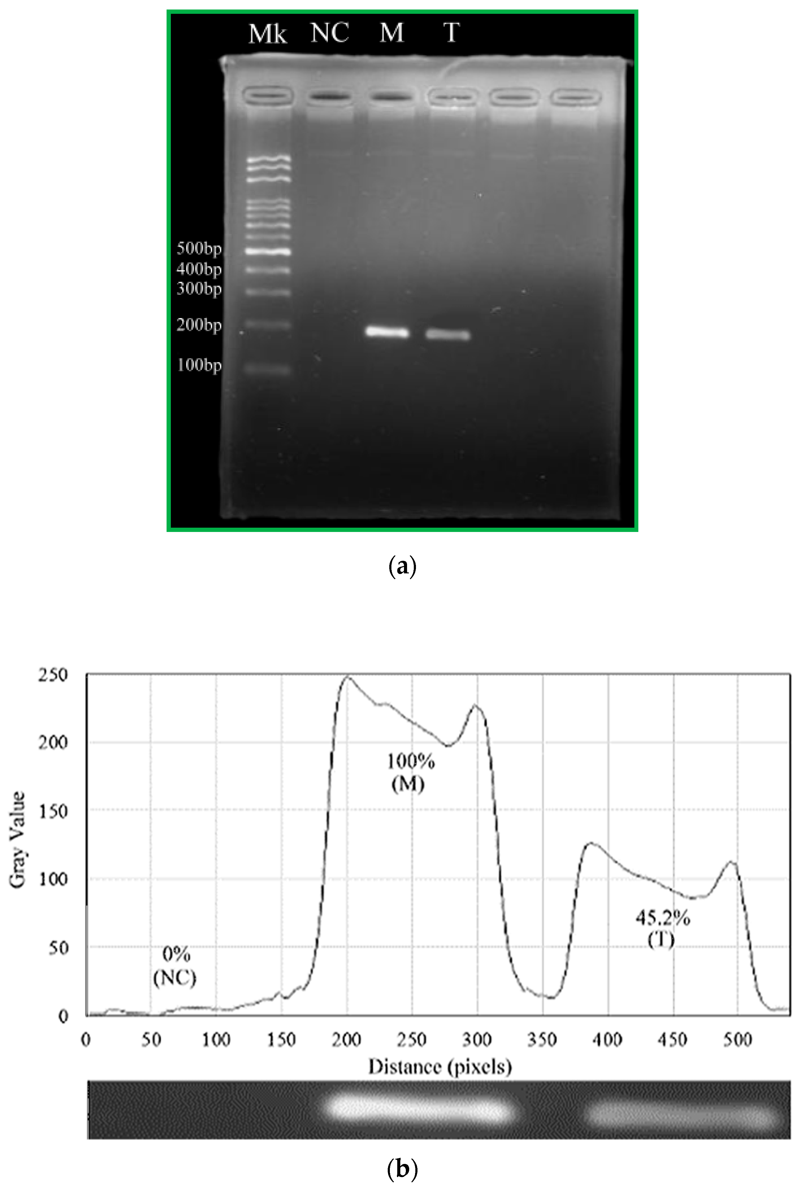 Micromachines 13 01289 g011